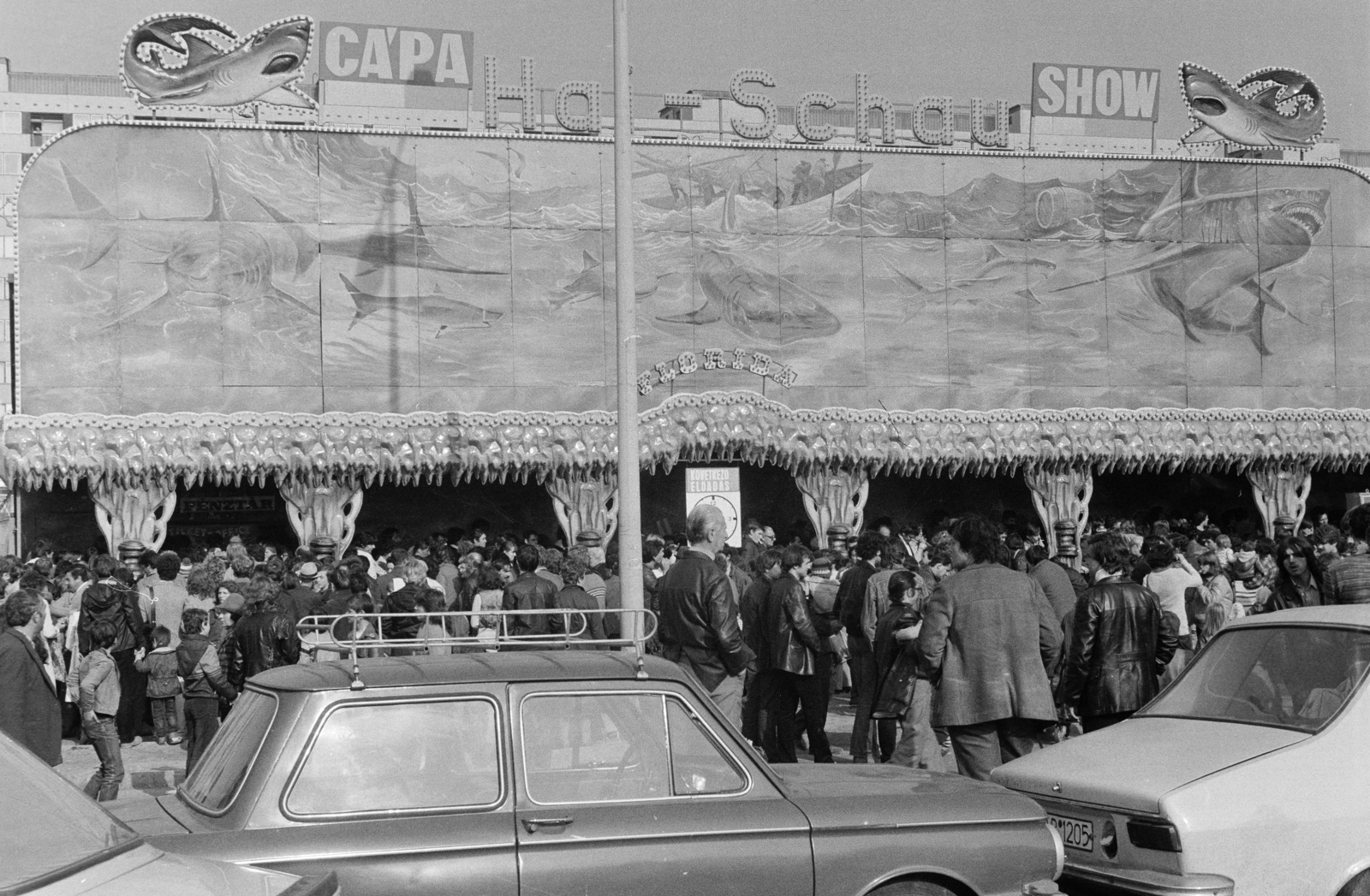 Magyarország, Budapest XIV., Örs vezér tere, Cápa show., 1982, Krizsanóczi Anna, Budapest, Fortepan #219408