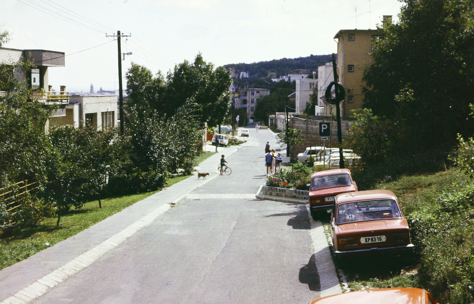 Hungary, Budapest XII., Rőzse utca, szemben a háttérben a Kis-Sváb-hegy (Martinovics-hegy), balra a távolban a budai Várban lévő Mária Magdolna-templom tornya látszik., 1988, Mezey András, number plate, Budapest, Fortepan #219661