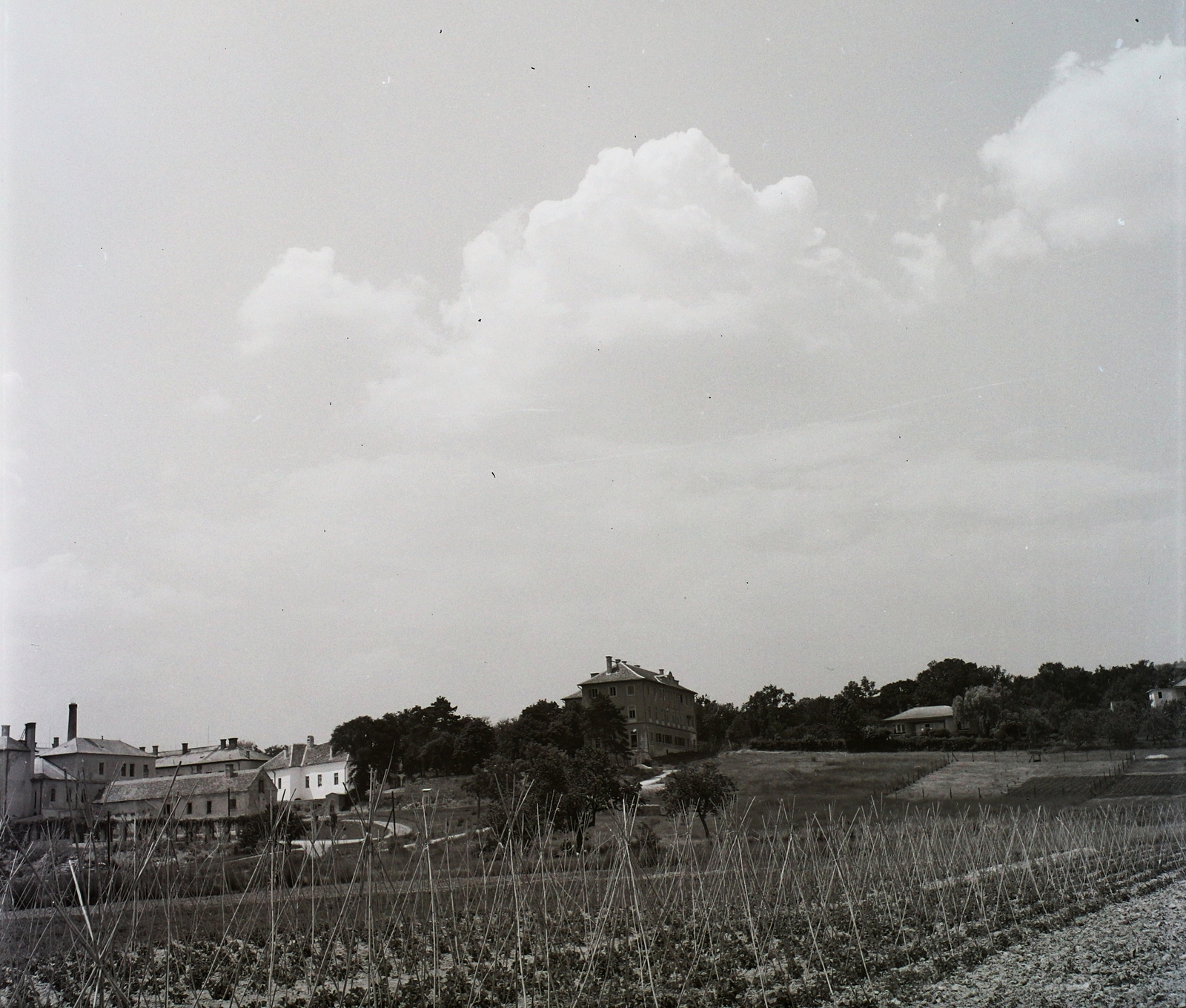 Hungary, Balatonfüred, a Szívkórház területe, középen a Liliom utca - Táncsics Mihály utca sarkán álló épület látható., 1956, Kotnyek Antal, agriculture, Fortepan #21986