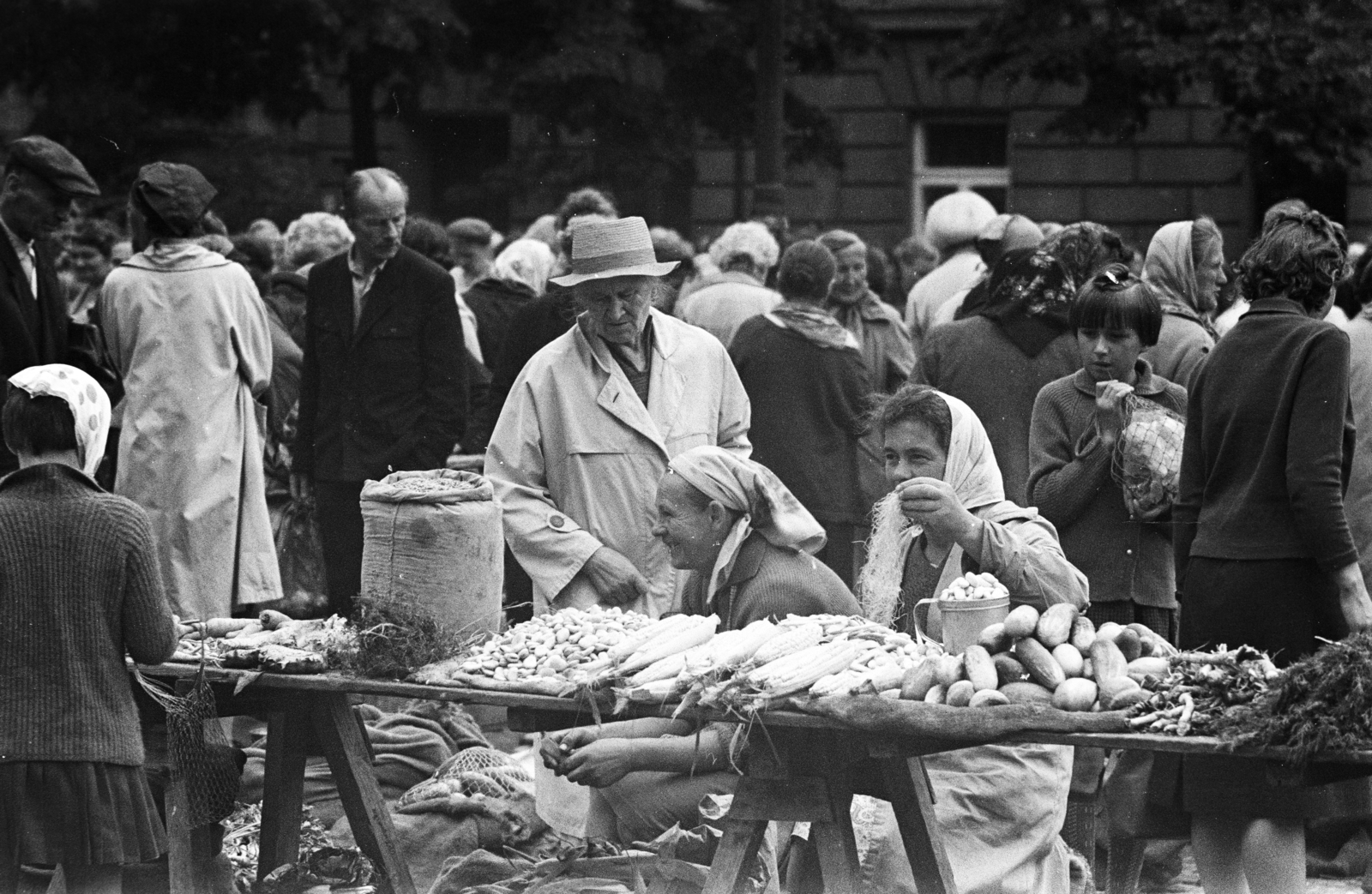 Lengyelország, Krakkó, Rynek Kleparski, a Stary Kleparz piac., 1962, Mihály Tamás, piac, Fortepan #219945