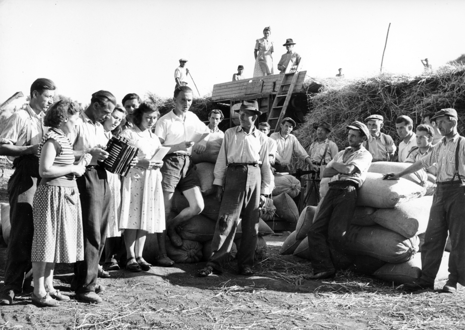 1953, Balla Zoltán, threshing machine, accordion, Fortepan #220081