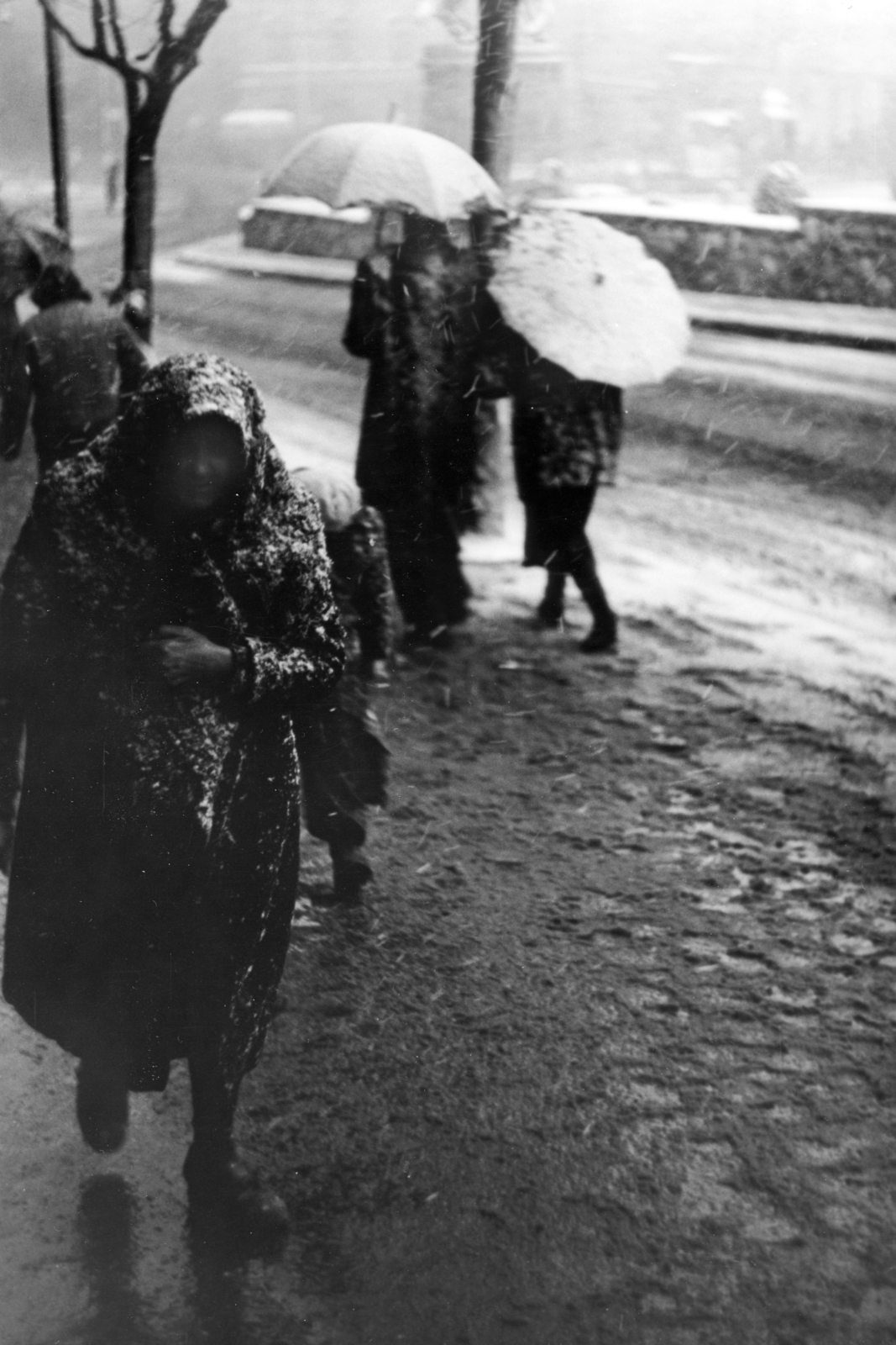 Hungary, Pécs, Széchenyi tér., 1983, Sólyi Ilona, snow, umbrella, rain, Fortepan #220517