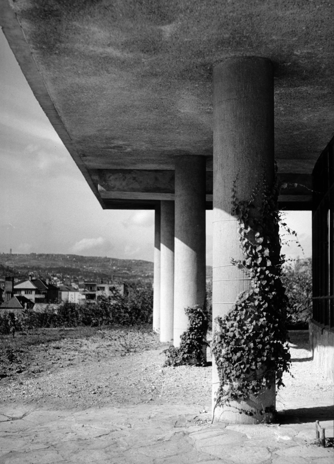 Hungary, Budapest XI., Ménesi út 44. Kertészeti és Szőlészeti Főiskola, (később Szent István Egyetem, majd Magyar Agrár- és Élettudományi Egyetem, Budai Campus), "A" épület., 1961, Sólyi Ilona, Budapest, Fortepan #220585