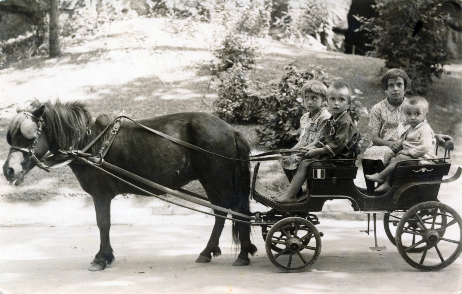 1932, Garamvölgyi Lajos, gyerekek, póniló, fogat, Fortepan #220735