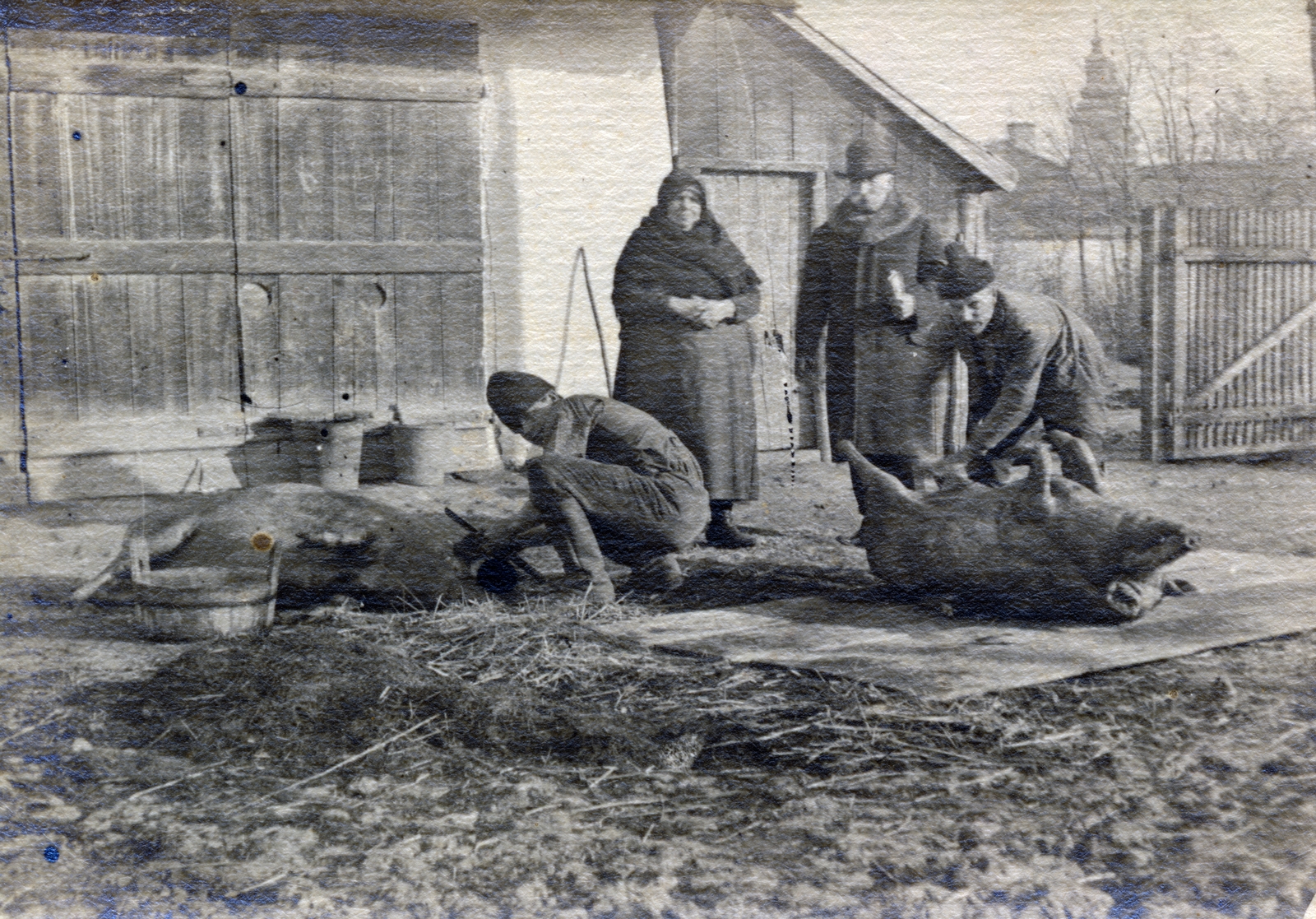 1939, Fekete Bernadette, állatvágás, visszanézés, paraszt, böllér, tél, parasztház, Fortepan #221320