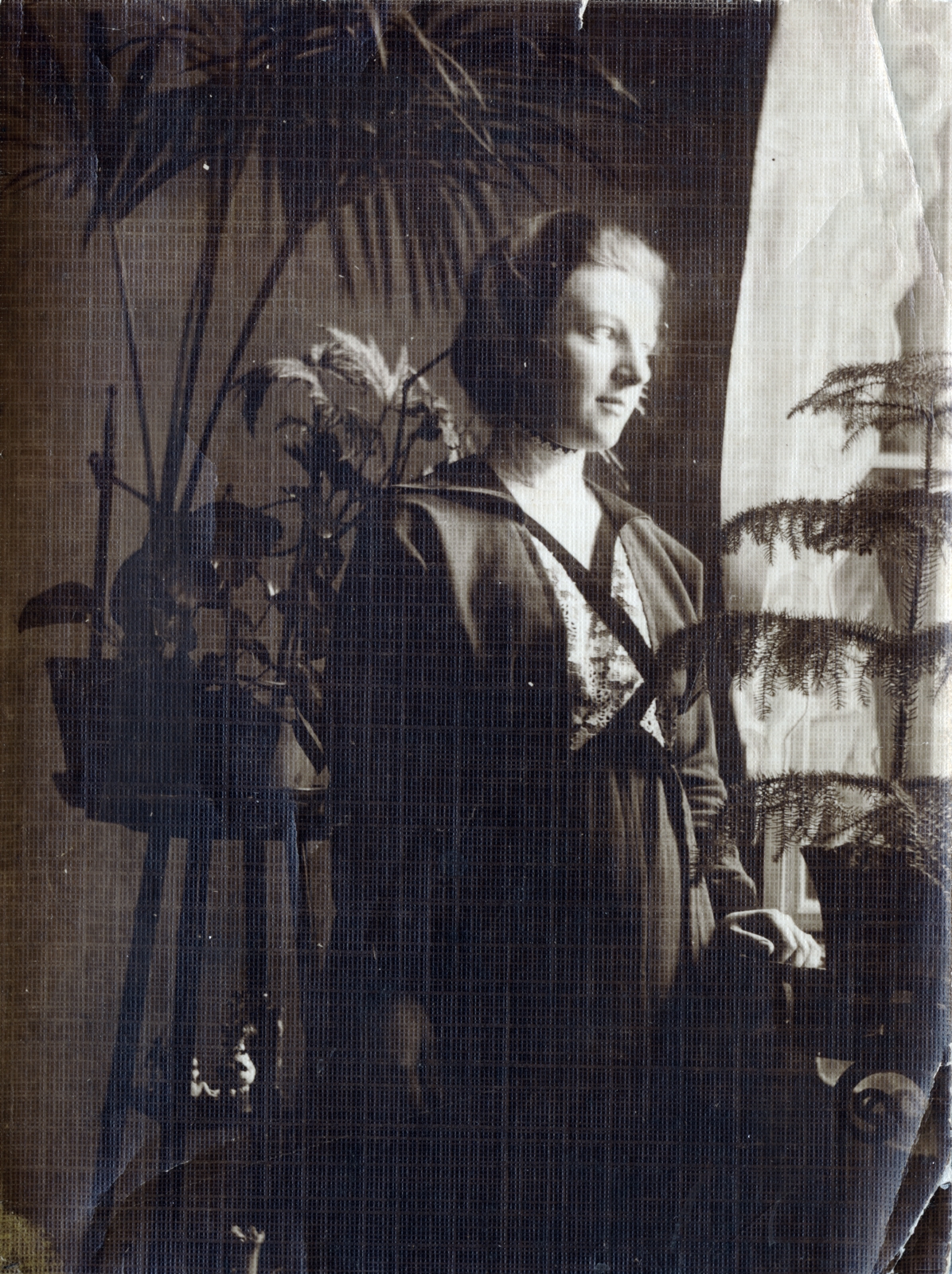 1915, Fekete Bernadette, lady, window, indoor plants, Fortepan #221331
