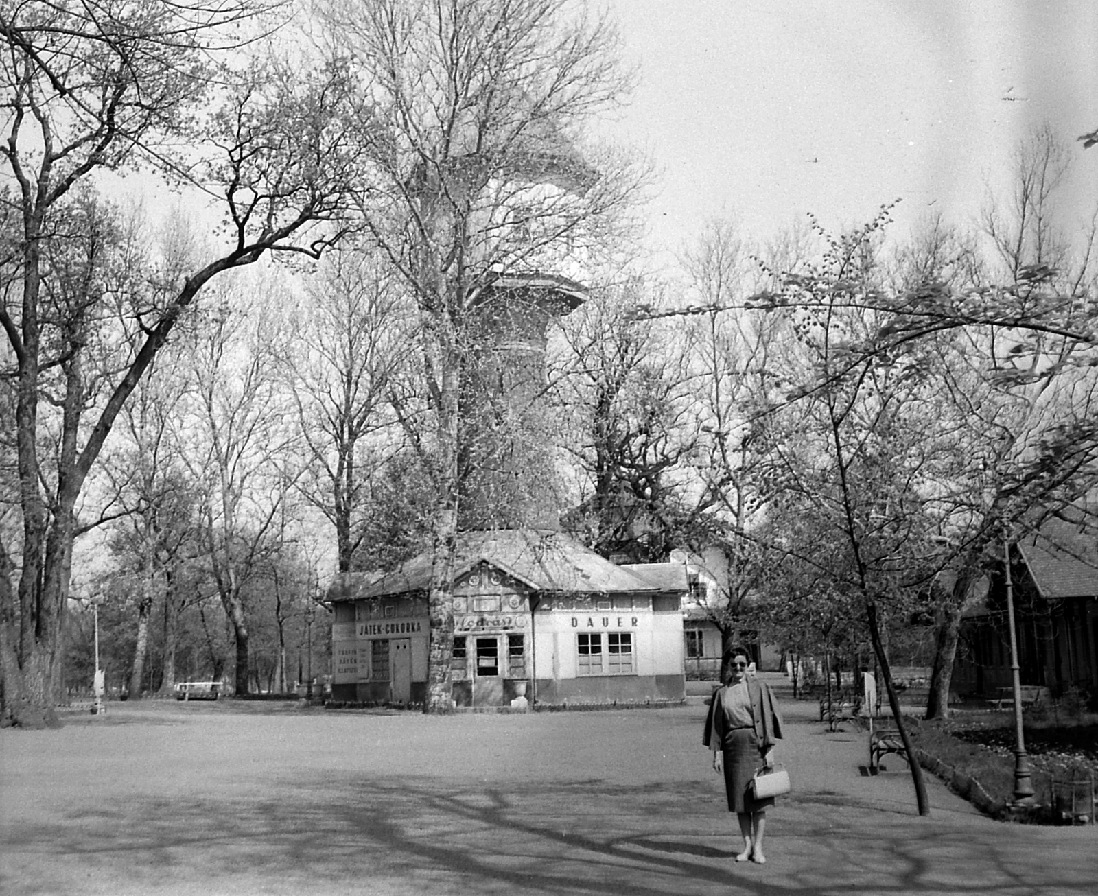 Hungary, Nyíregyháza, Sóstófürdő, Víztorony., 1962, Gyöngyi, water tower, Fortepan #2215