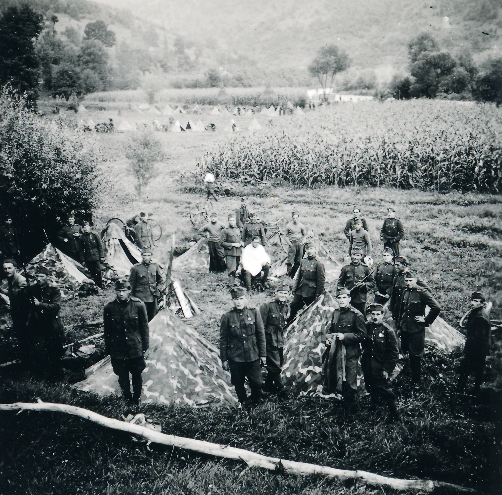 1940, Fábián István, camouflage pattern, ground cloth, Fortepan #221748
