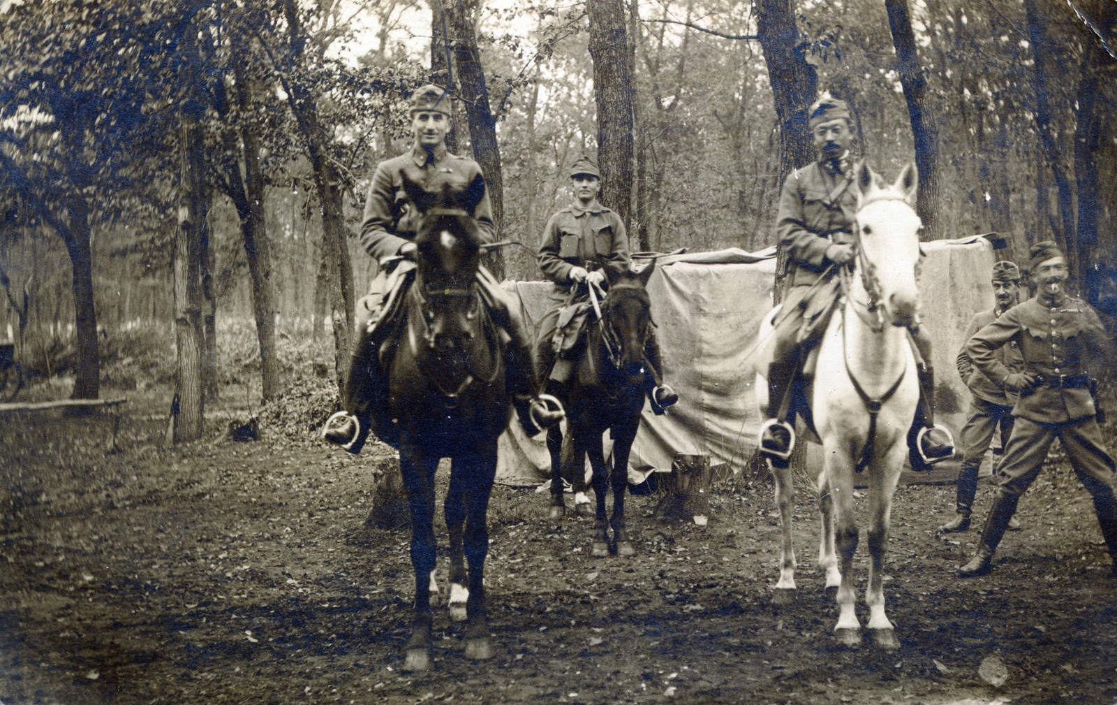 1917, Schleiner Béla, horse, military, Fortepan #221931