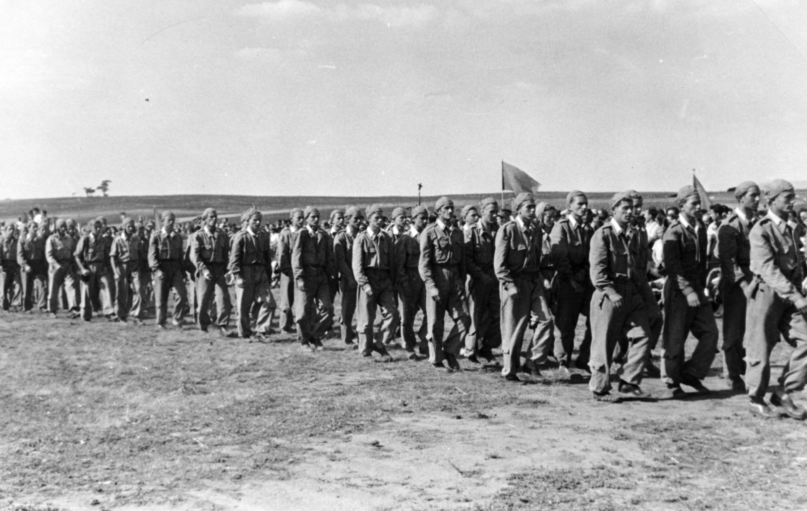 Hungary, Tata-Tóváros, repülőtér, 1950. július 9-i repülőnap résztvevői., 1950, Nasztanovics Ferenc, men, airport, pilot, Fortepan #222069