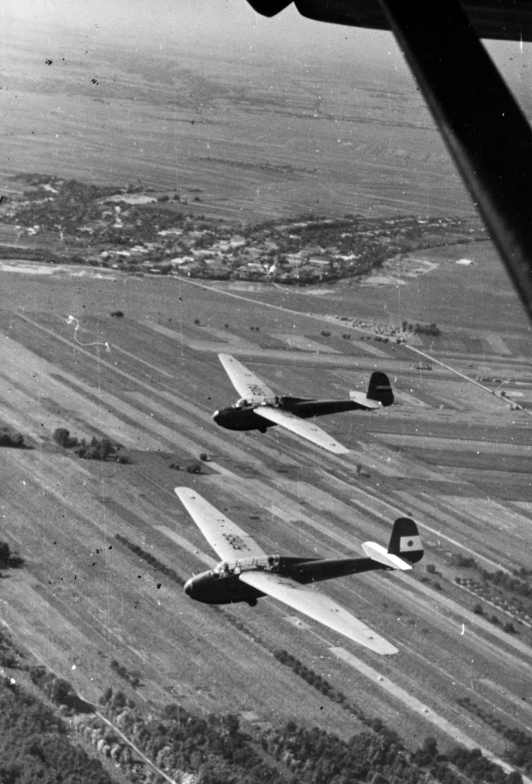 1953, Nasztanovics Ferenc, sailplane, DFS Kranich II, German brand, DFS-brand, Fortepan #222114