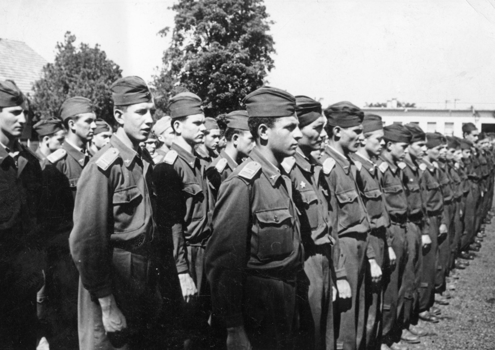 Magyarország, Dunakeszi, a felvétel a Magyar Repülő Szövetség repü­lőgépszerelő iskolájának megnyitóján, a mai Shejbal József utca közeli területen készült., 1952, Nasztanovics Ferenc, katonaság, sorakozó, Fortepan #222208