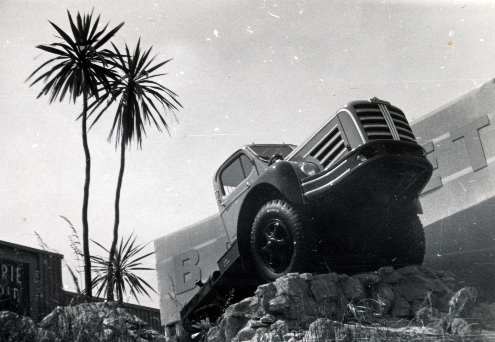 France, francia gyártmányú, Berliet GLM 10 típusú teherautó., 1959, Pozsgay Eszter, palm tree, Fortepan #222296