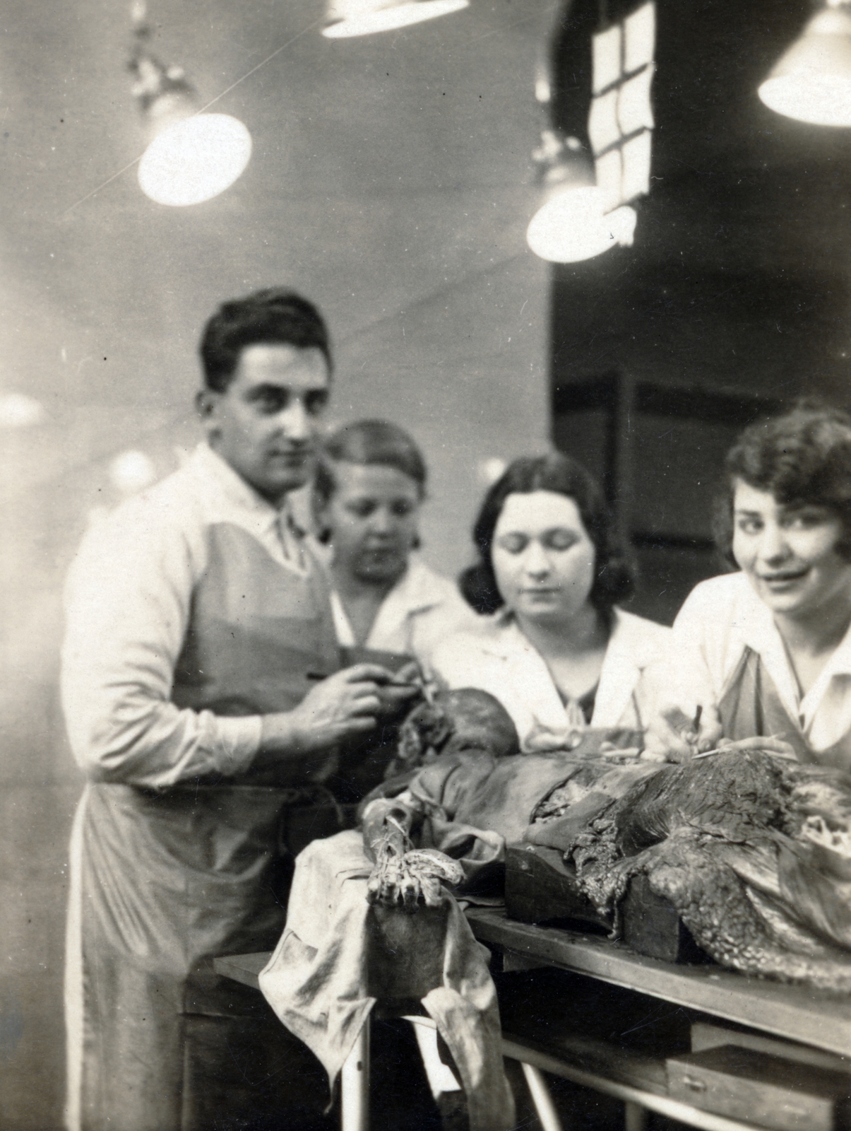 1932, Székely Pál, dissecting room, autopsy, Fortepan #222347