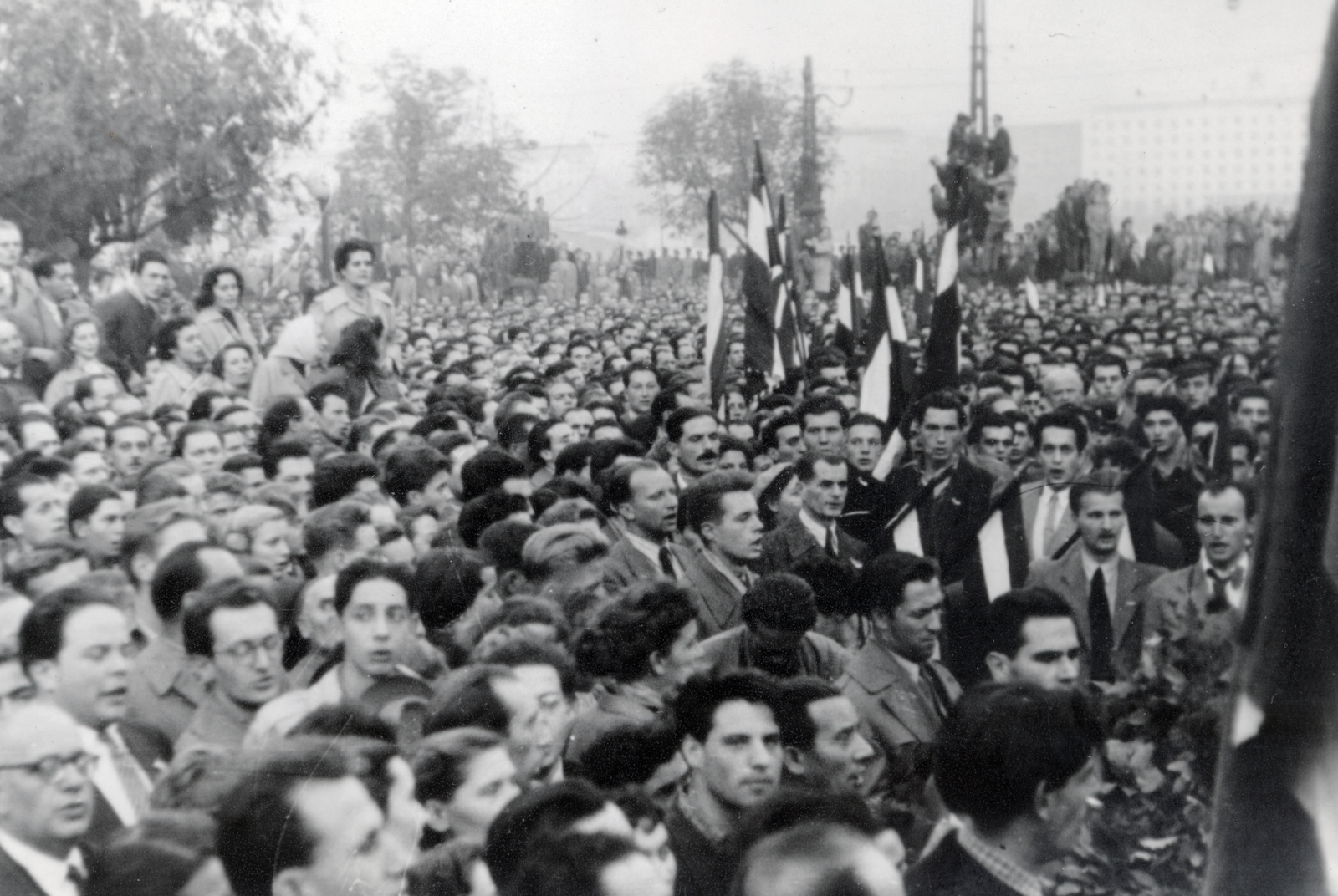 Hungary, Budapest II., Bem József tér, tüntetés 1956. október 23-án a Bem szobornál., 1956, Horváth János és családja, Budapest, youth, mass, Fortepan #222385