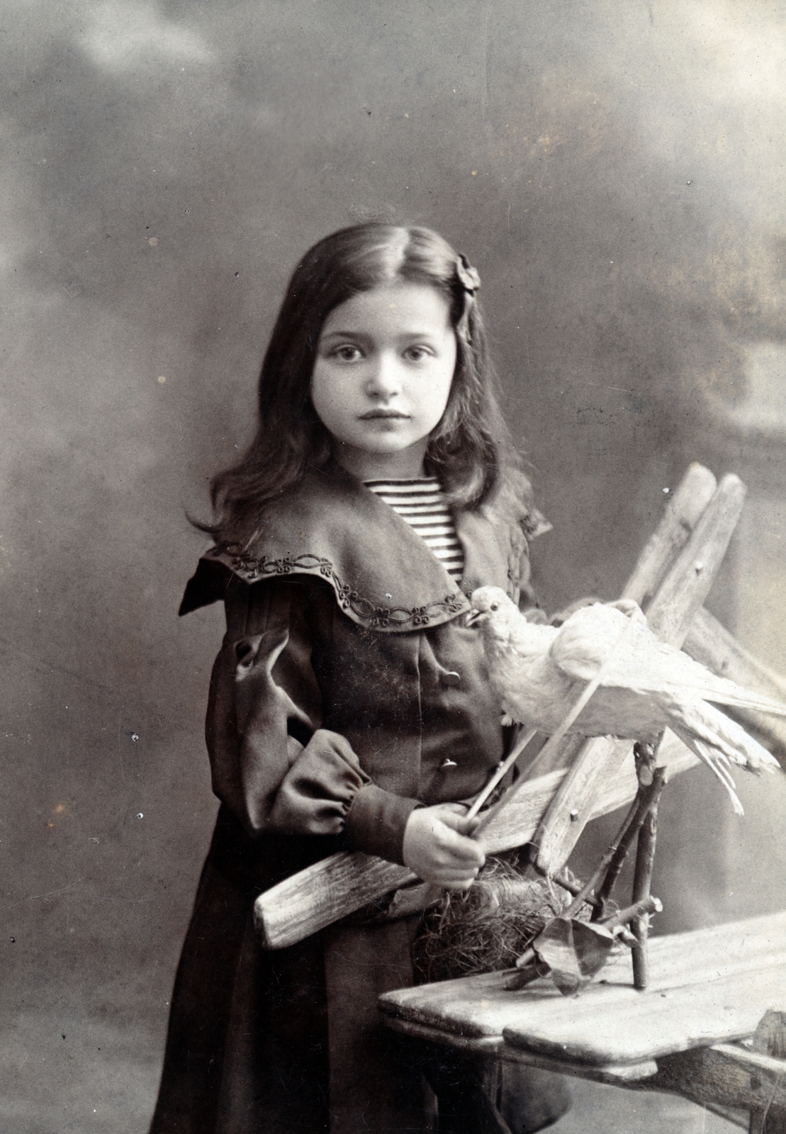 1905, Sík Endre, studio, girl, hair clip, toy animal, Fortepan #222659