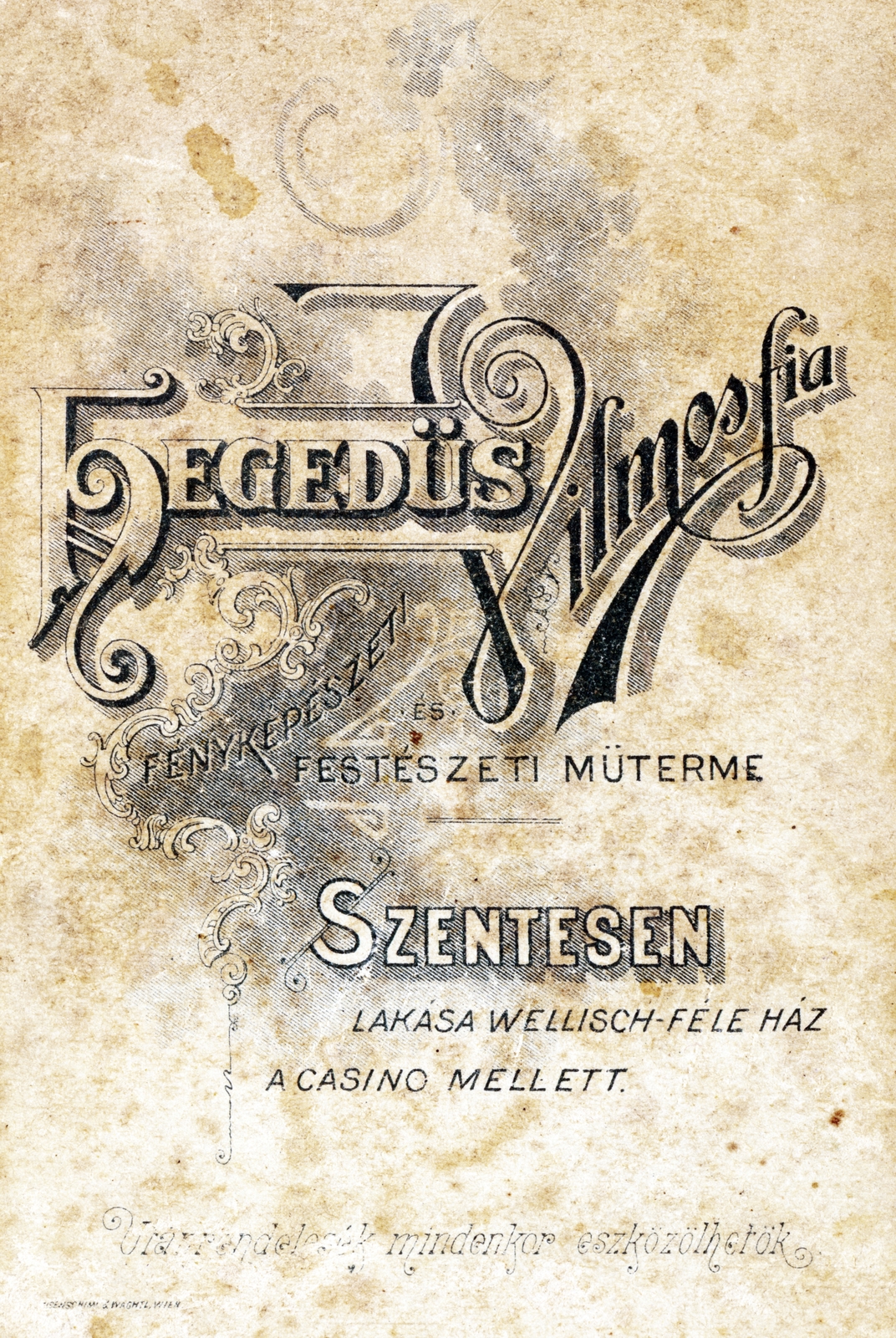 Szentes, 1904, Halász Géczi Ágnes, hátlap, fényképész, műterem, Fortepan #222727