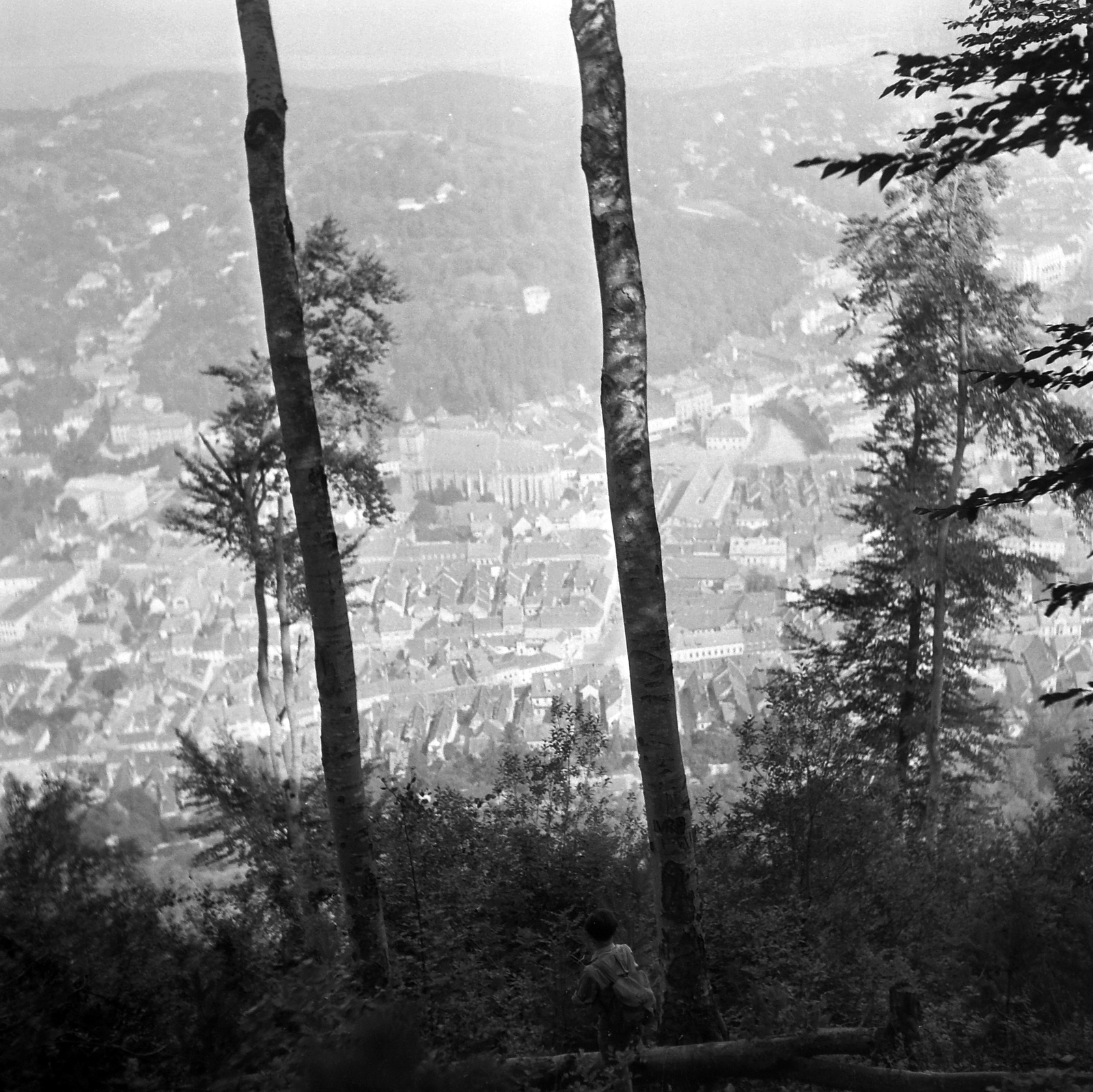 Romania,Transylvania, Brașov, látkép a Cenk hegyről., 1961, Pálfi Balázs, Fortepan #22310