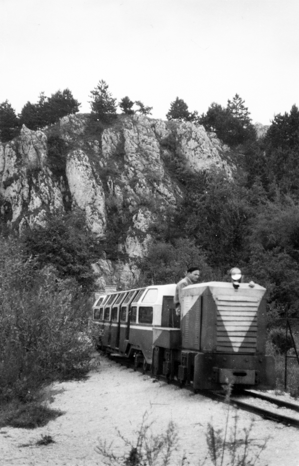 Hungary, Veszprém, Betekints-völgy, a Vidámpark felé tartó Gyermekvasút (Úttörővasút) az alagútnál., 1963, Almássy László, Fortepan #223112