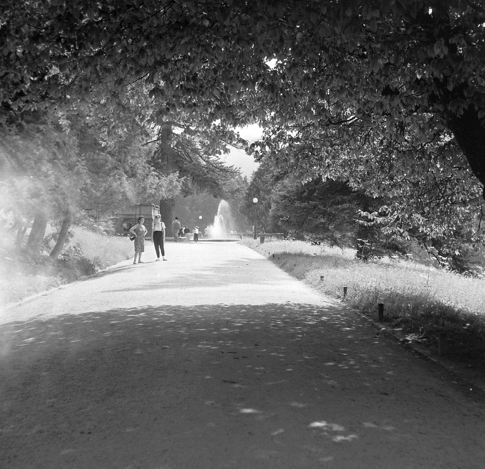 Romania, Sinaia, a Peles kastély (a román királyok nyári rezidenciája) kertje., 1961, Pálfi Balázs, Fortepan #22312