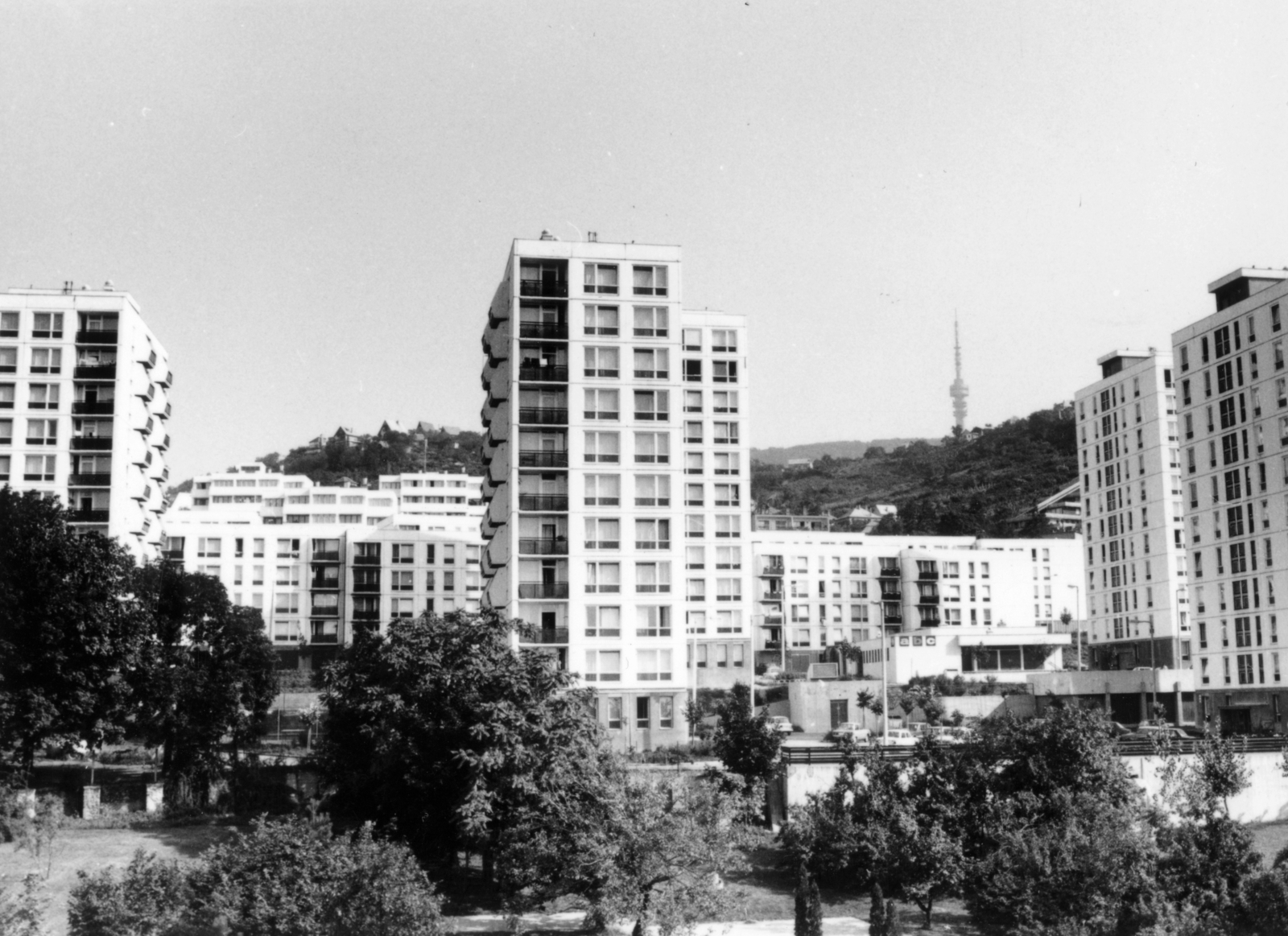 Hungary, Pécs, a Bornemissza Gergely utca 10 emeletes házai, háttérben a TV adótorony a Misina tetőn., 1981, Almássy László, tall house, Fortepan #223123