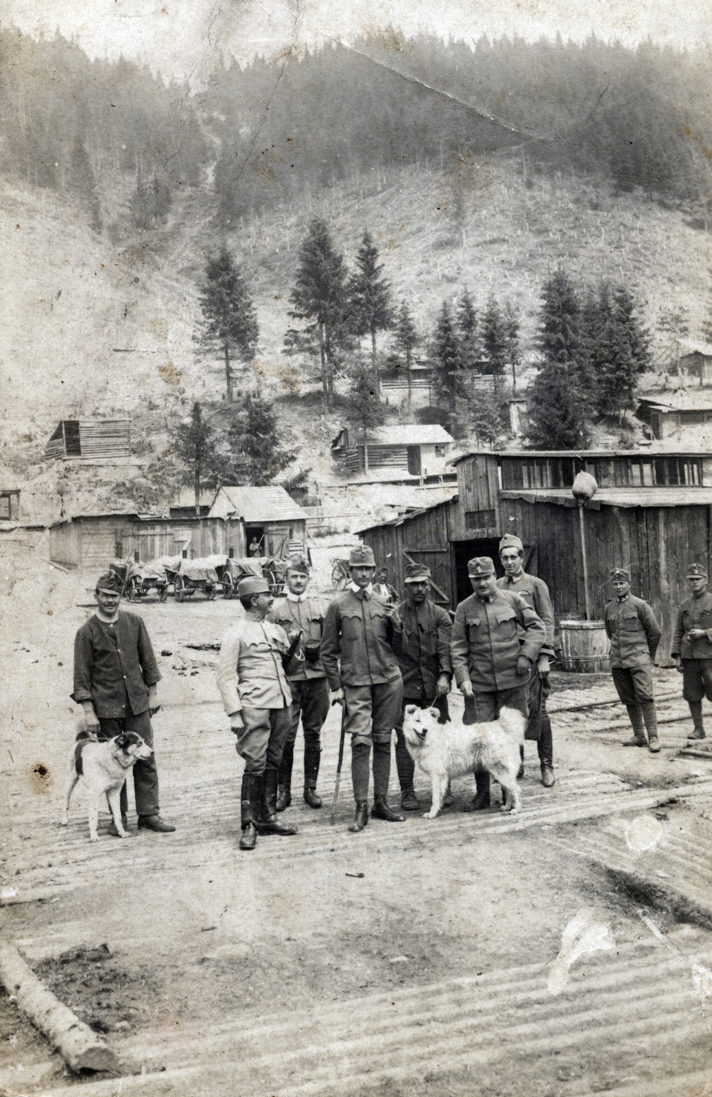 1918, Almássy László, első világháború, kutya, Fortepan #223202