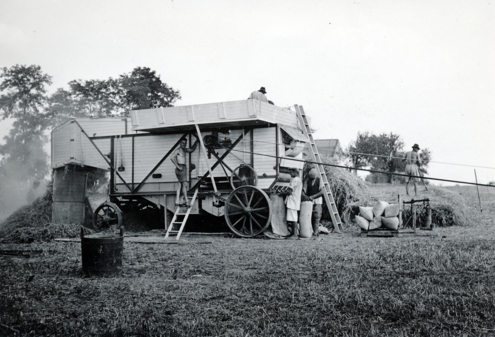 1939, Ábrahám Anna, threshing machine, threshing, harvest, Fortepan #223205