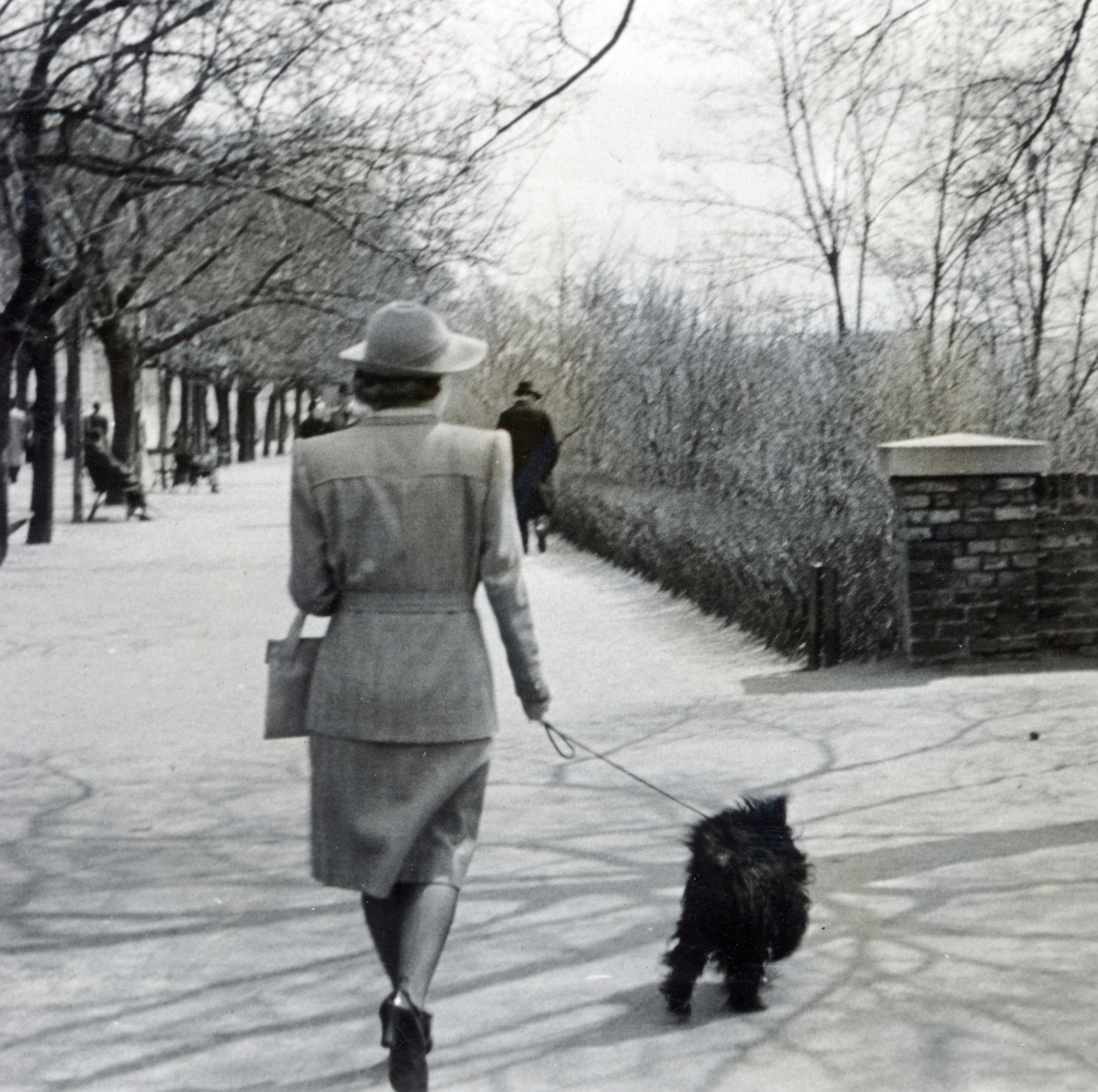 Hungary, Budapest I., a felvétel a Tóth Árpád (Gróf Bethlen István) sétányon készült., 1941, Róna Annamária, dog, back, lady, leash, walking the dog, Budapest, Fortepan #223302