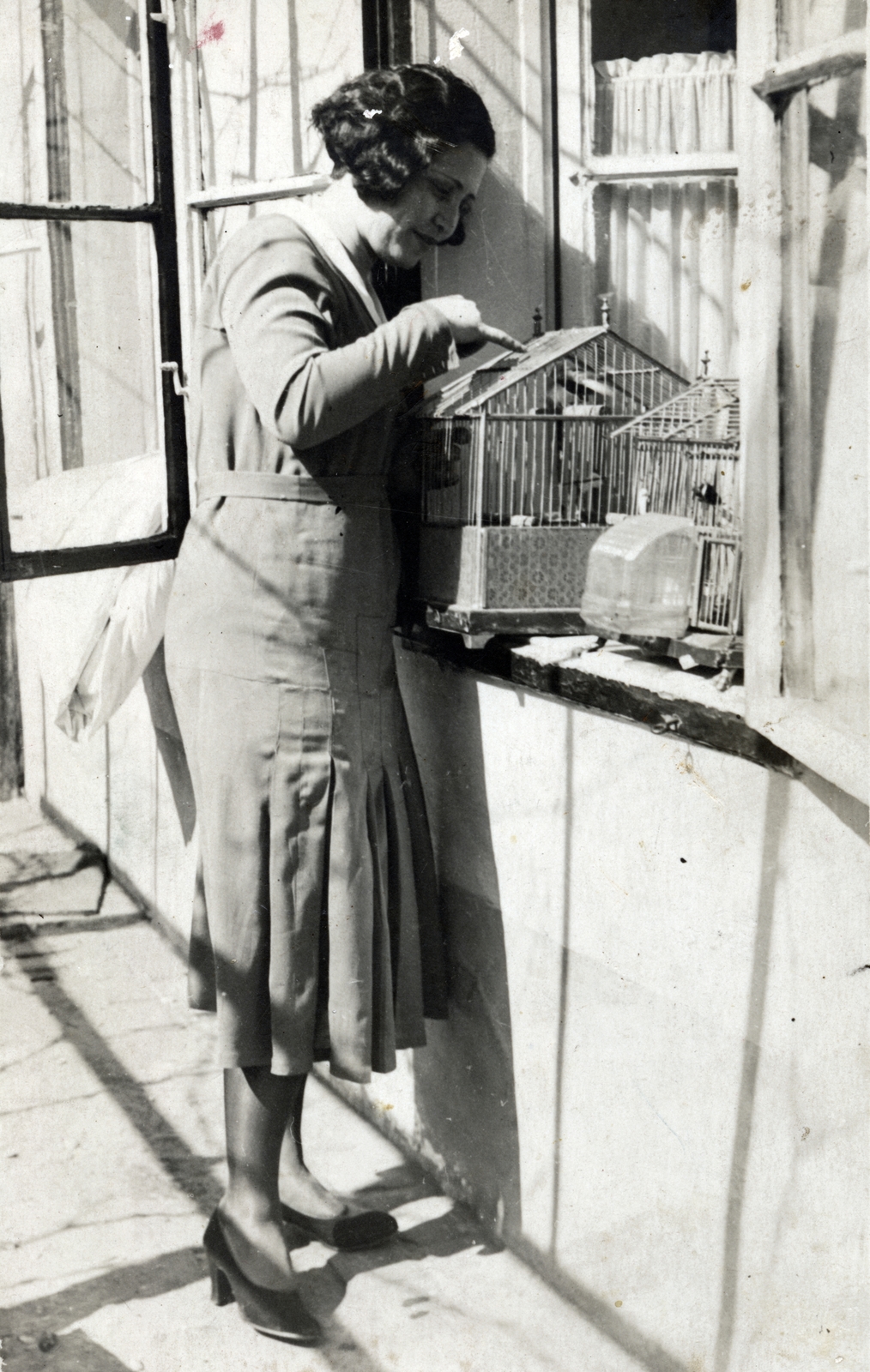 1922, Közösségi Szociális Szövetkezet, bird cage, Fortepan #223443