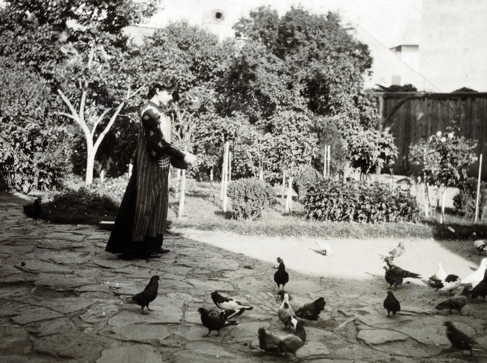 1915, Közösségi Szociális Szövetkezet, dove, bird feeding, Fortepan #223465