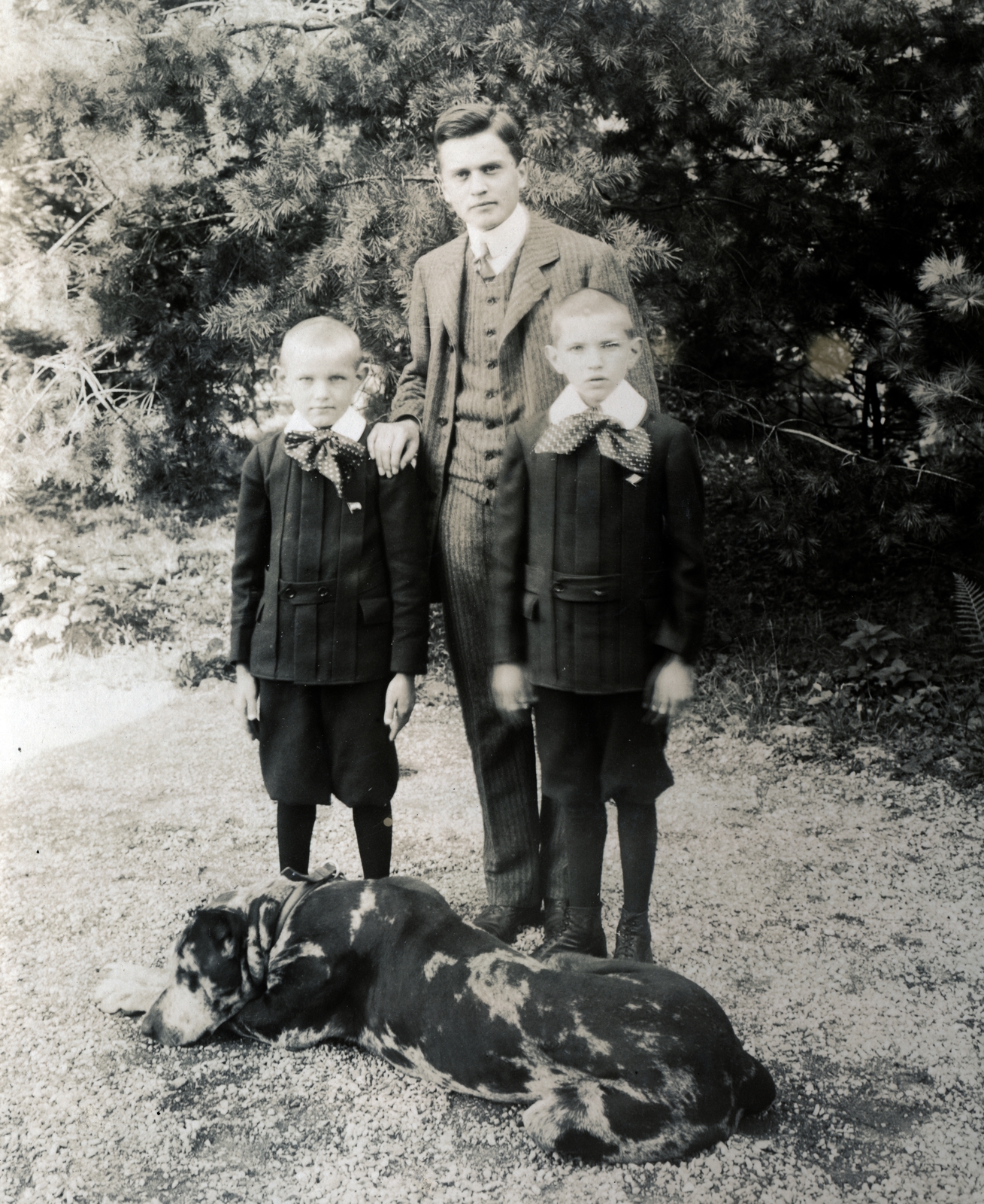 1915, Közösségi Szociális Szövetkezet, dog, boys, three people, Fortepan #223481