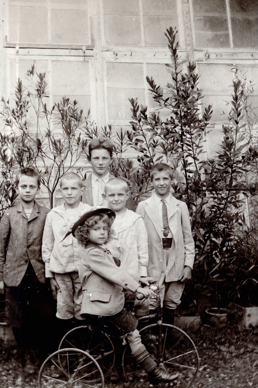 1917, Közösségi Szociális Szövetkezet, gyerektricikli, fiúk, Fortepan #223597