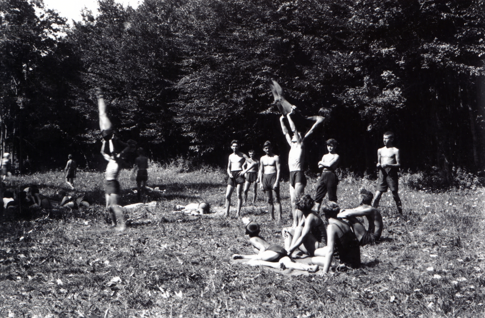 1933, Fortepan/Album066, acrobatics, deforestation, Fortepan #223621