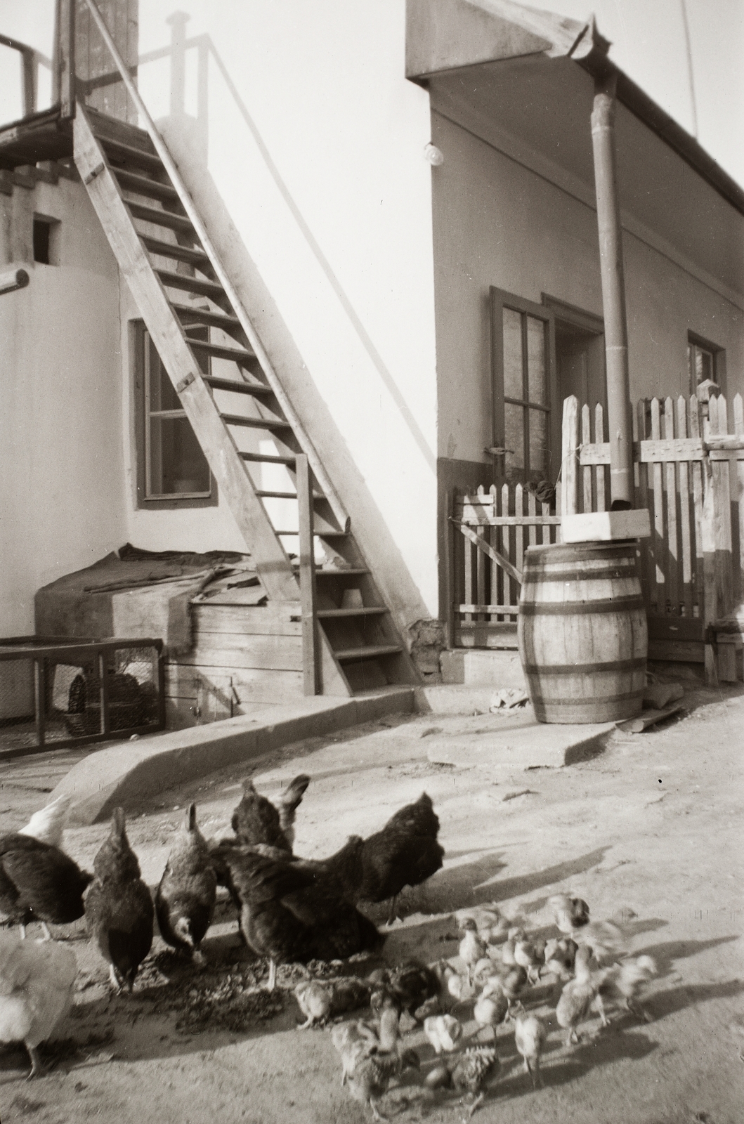 1943, Fortepan/Album002, poultry, stairs, barrel, Fortepan #22371