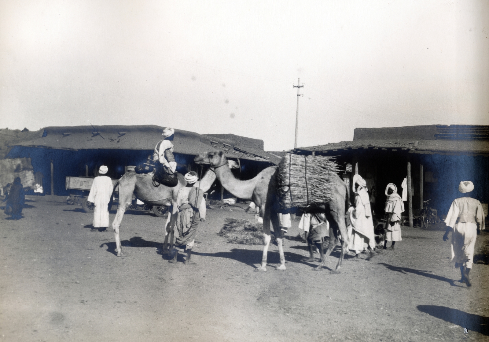 1928, Egri János, camel, Fortepan #223967