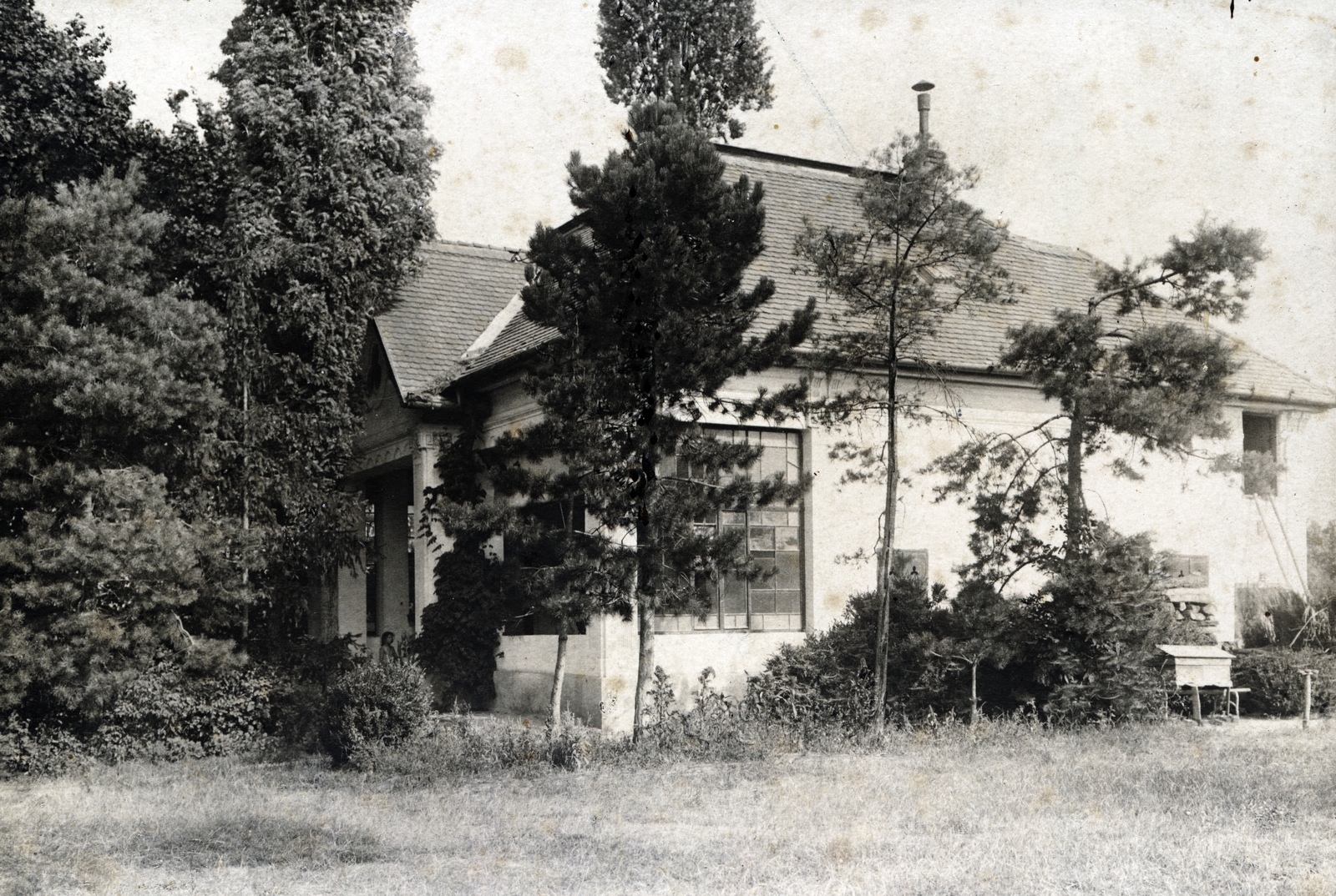 1900, Fortepan/Album080, window, wood, building, Fortepan #224051