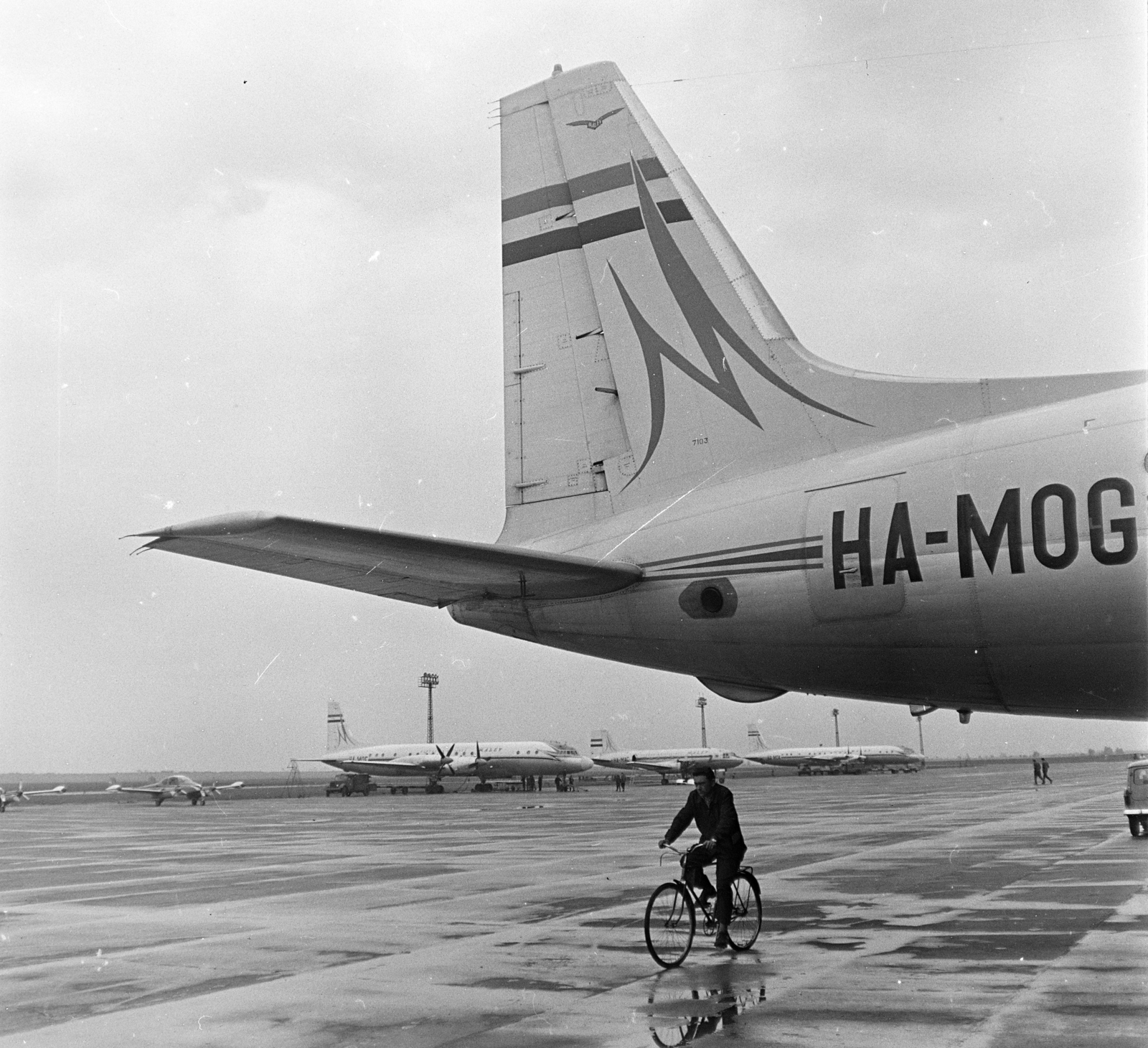 Hungary, Ferihegy (now - Ferenc Liszt) International Airport, Budapest XVIII., előtérben egy IL-18V repülőgép farokrésze, a háttérben két IL-18-as, egy Morava L-200D és egy IL-14M típusú MALÉV repülőgép., 1965, MHSZ, transport, bicycle, Czechoslovak brand, Soviet brand, airplane, airport, Ilyushin-brand, Hungarian Airlines, Budapest, Fortepan #22440