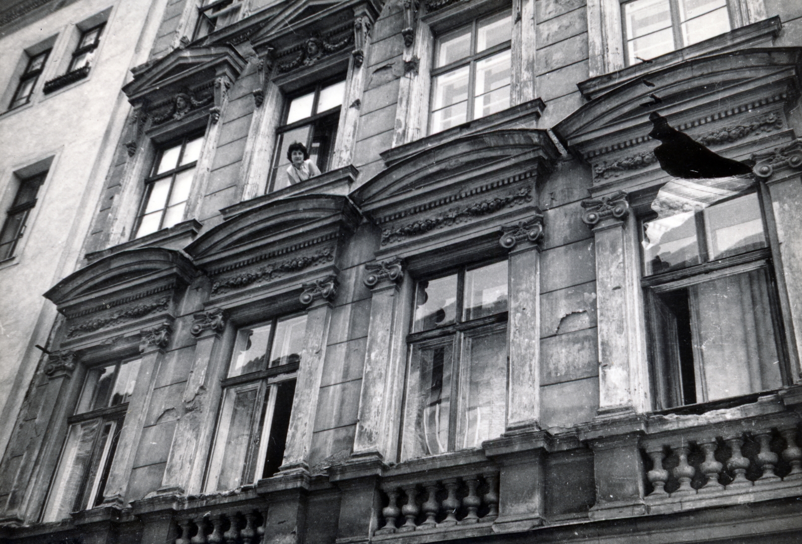 Austria, Vienna, 1959, Iván Zoltán dr., leaning out of the window, Fortepan #224815