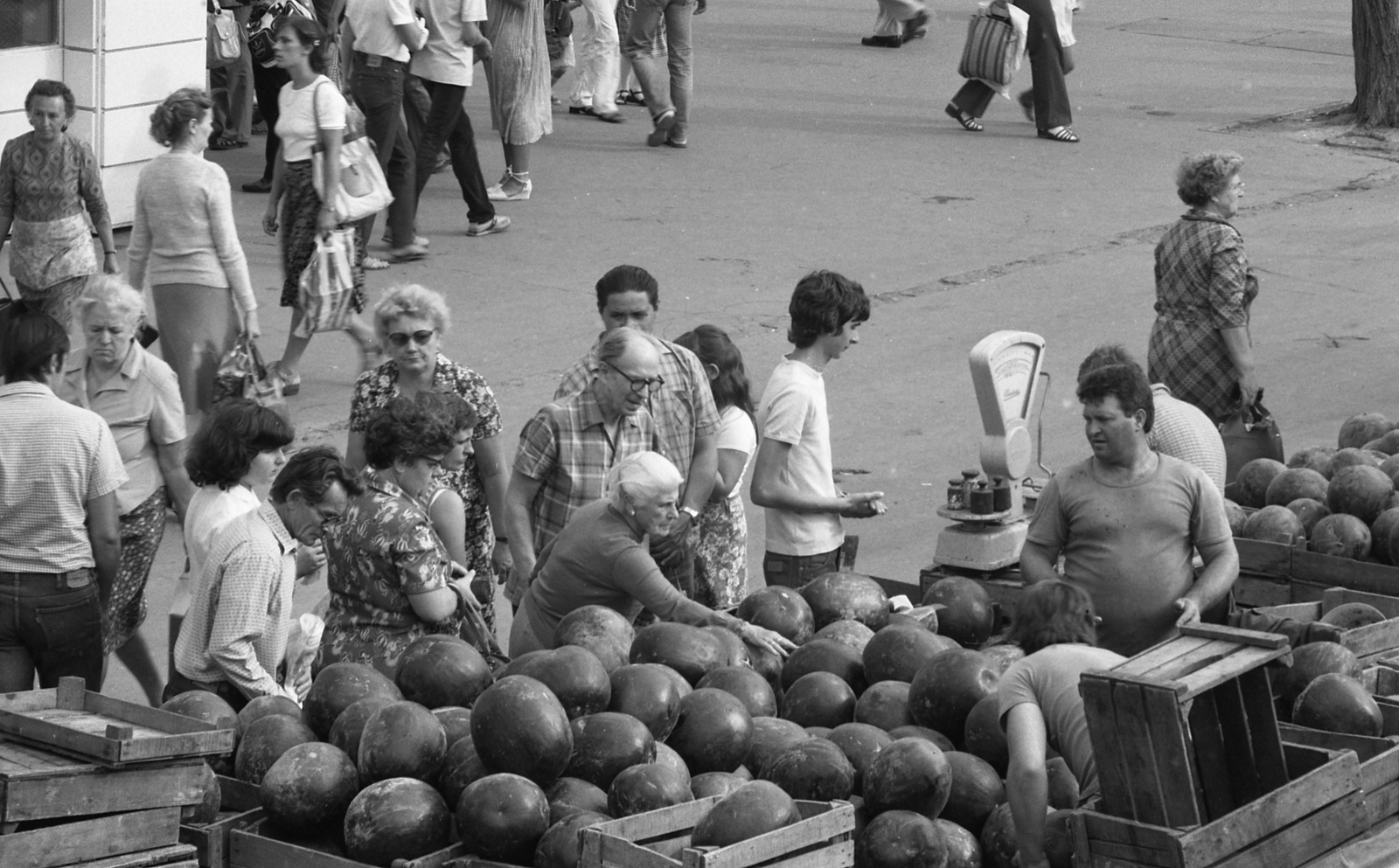 Hungary, Budapest XI., Kőrösy József utca. Dinnyevásár a Skála Áruháznál a Fehérvári úti piacon., 1982, Magyar Rendőr, market, melon, Budapest, scale, Fortepan #22504
