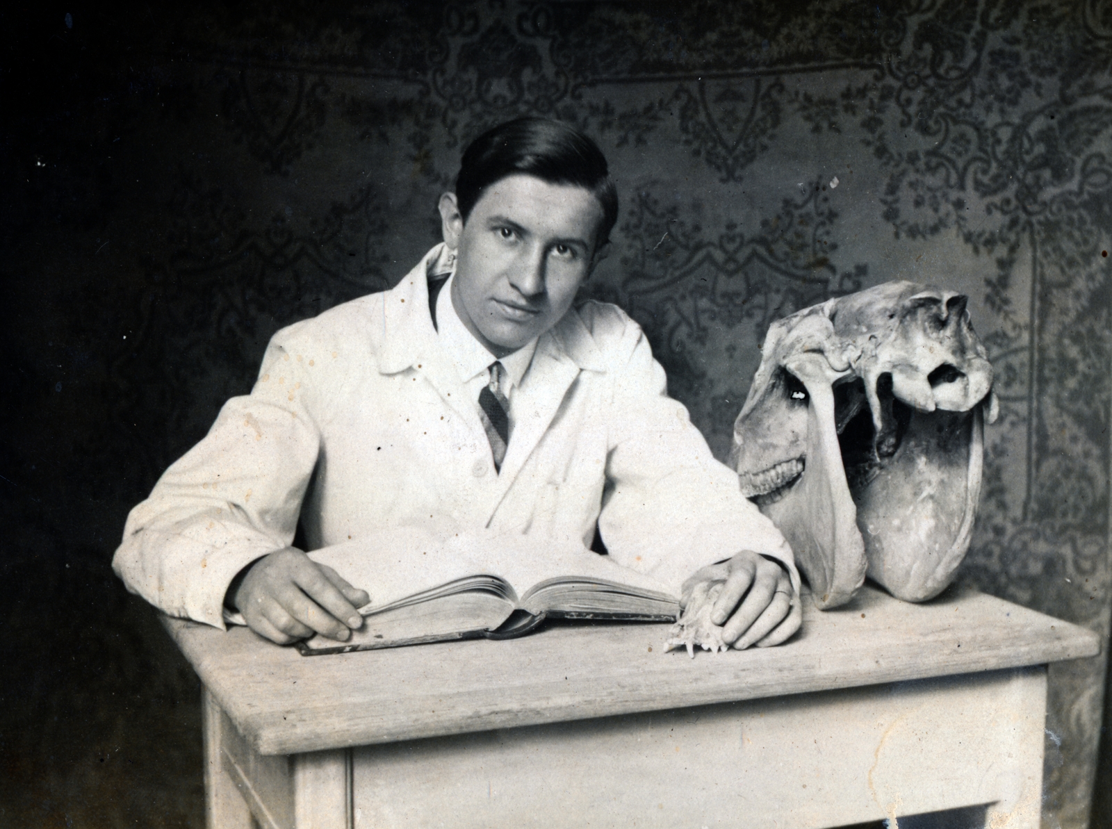 1921, Vincent Till Baumgartner, Best of, veterinarian, learning, skull, portrait, Fortepan #225106