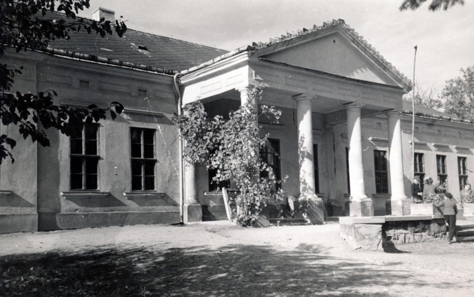 1955, Vincent Till Baumgartner, public building, pediment, colonnade, Fortepan #225153