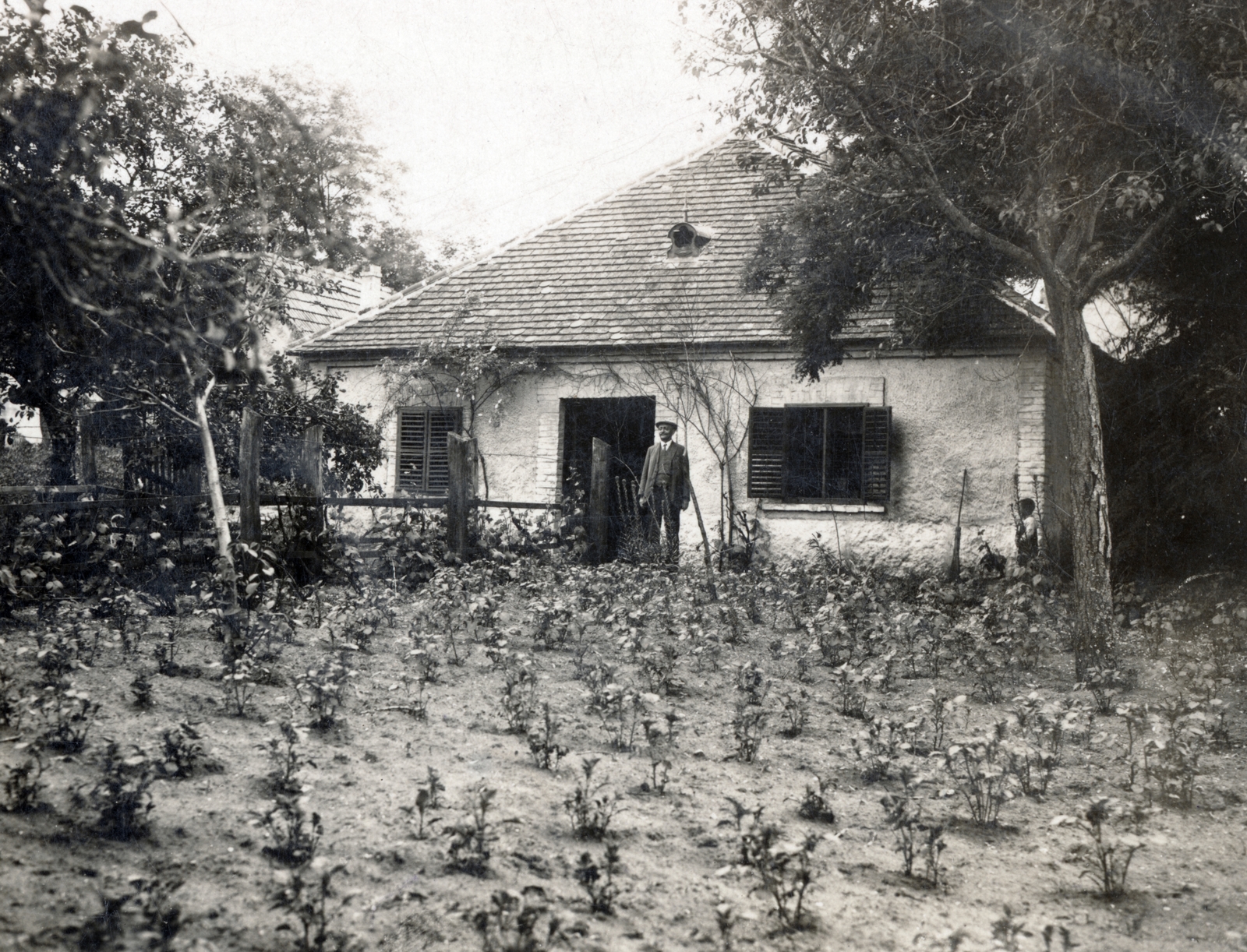 1926, Vincent Till Baumgartner, house, garden, Fortepan #225187