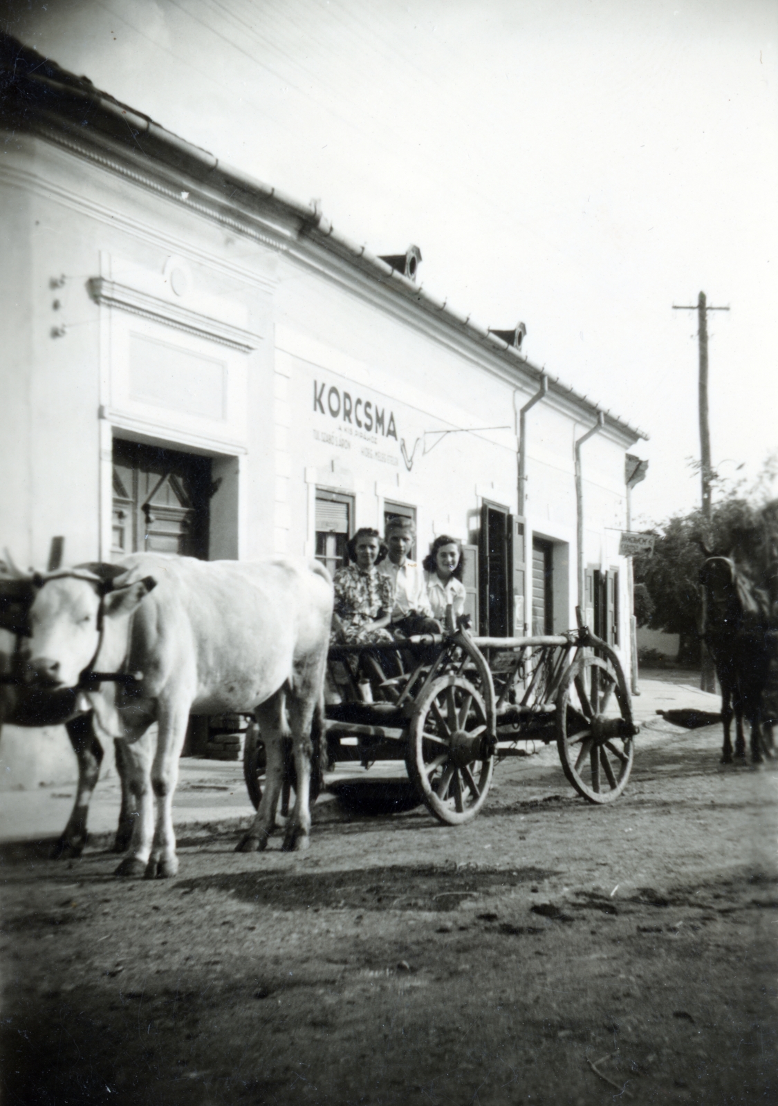 1940, Vincent Till Baumgartner, cattle, chariot, Fortepan #225293
