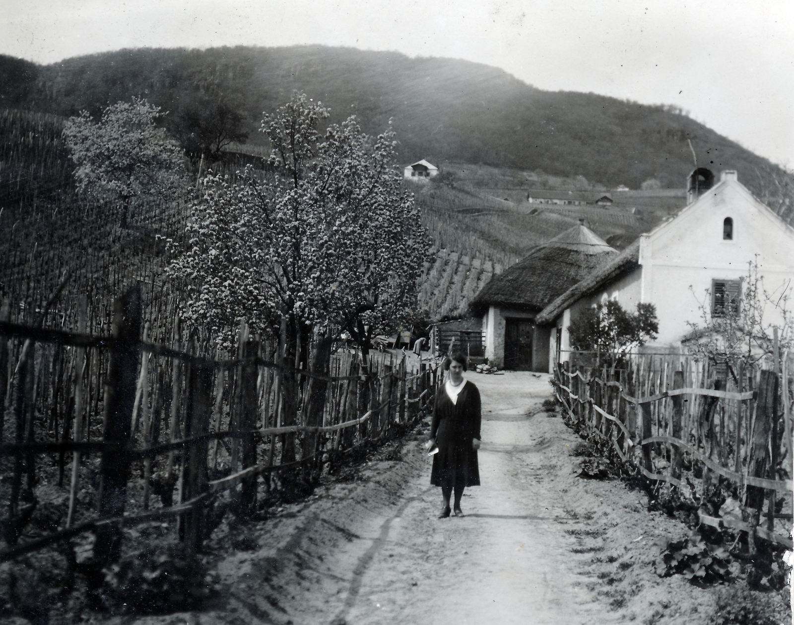 Hungary,Lake Balaton, Badacsonytomaj,Badacsony, 1930, Vincent Till Baumgartner, vernacular architecture, bridge, Fortepan #225402