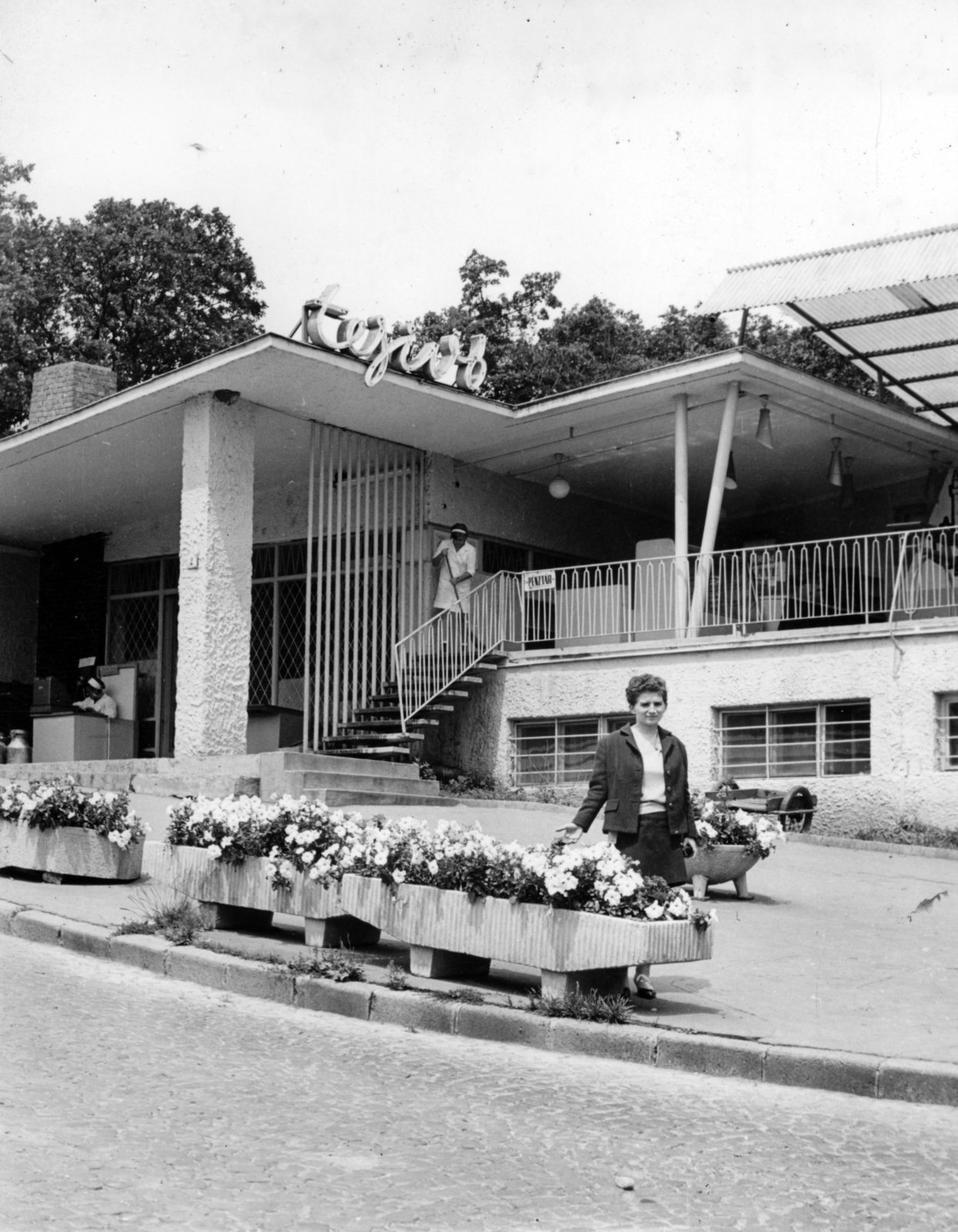 Magyarország, Miskolc,Miskolctapolca, tejivó a Győri utca és a Bencések útja (Zója utca) sarkán., 1968, Vincent Till Baumgartner, virágtartó, modern építészet, Fortepan #225463