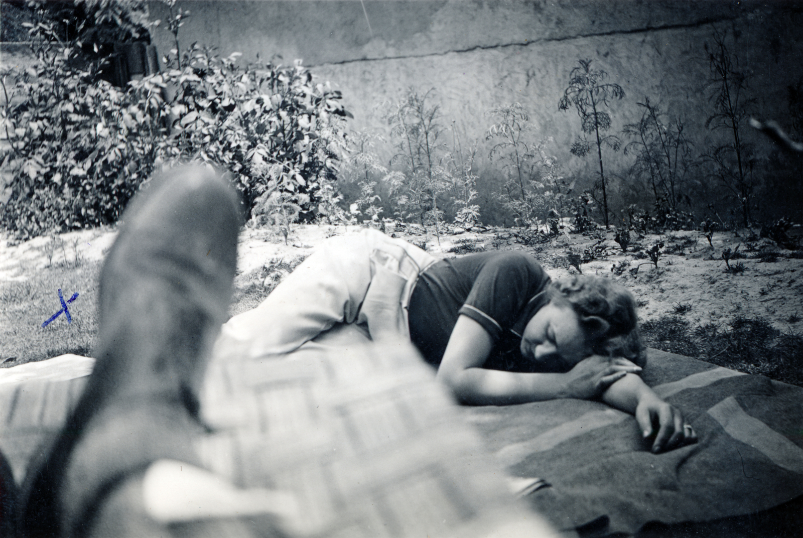 1941, Vincent Till Baumgartner, portrait, relaxation, Fortepan #225592