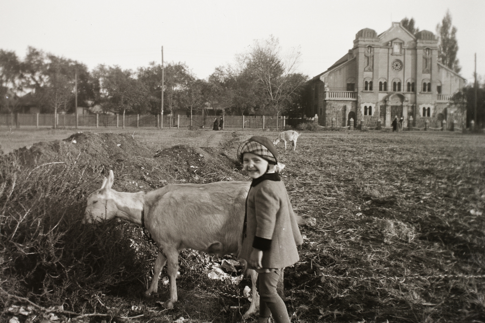 Hungary, Rákospalota, Budapest XV., Régi Fóti út 77., zsinagóga., 1943, Fortepan/Album002, church, synagogue, goat, kids, animal, judaism, Budapest, Fortepan #22616