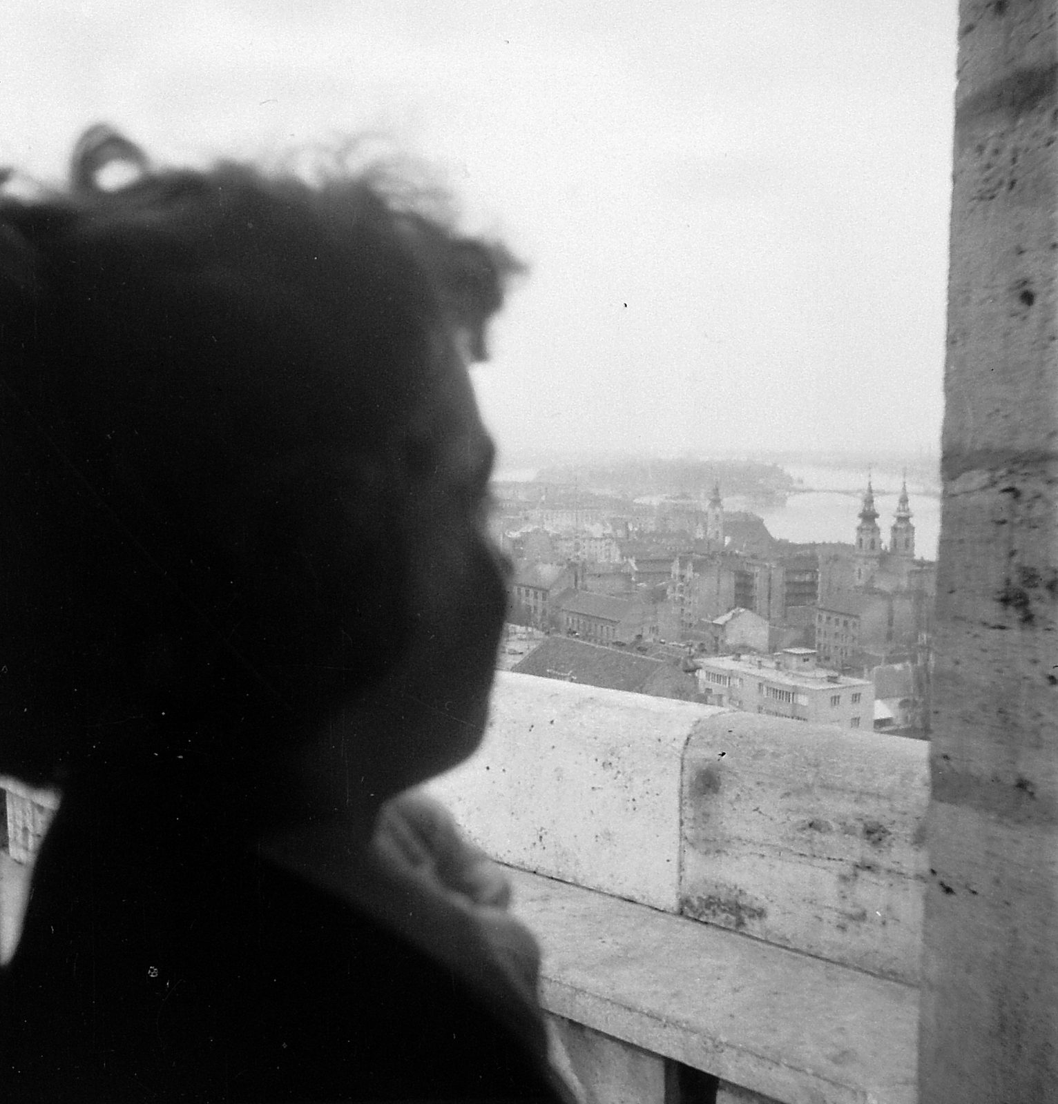 Hungary, Halászbástya, Budapest I., látkép a Víziváros felé., 1958, Fortepan, Budapest, Fortepan #2265
