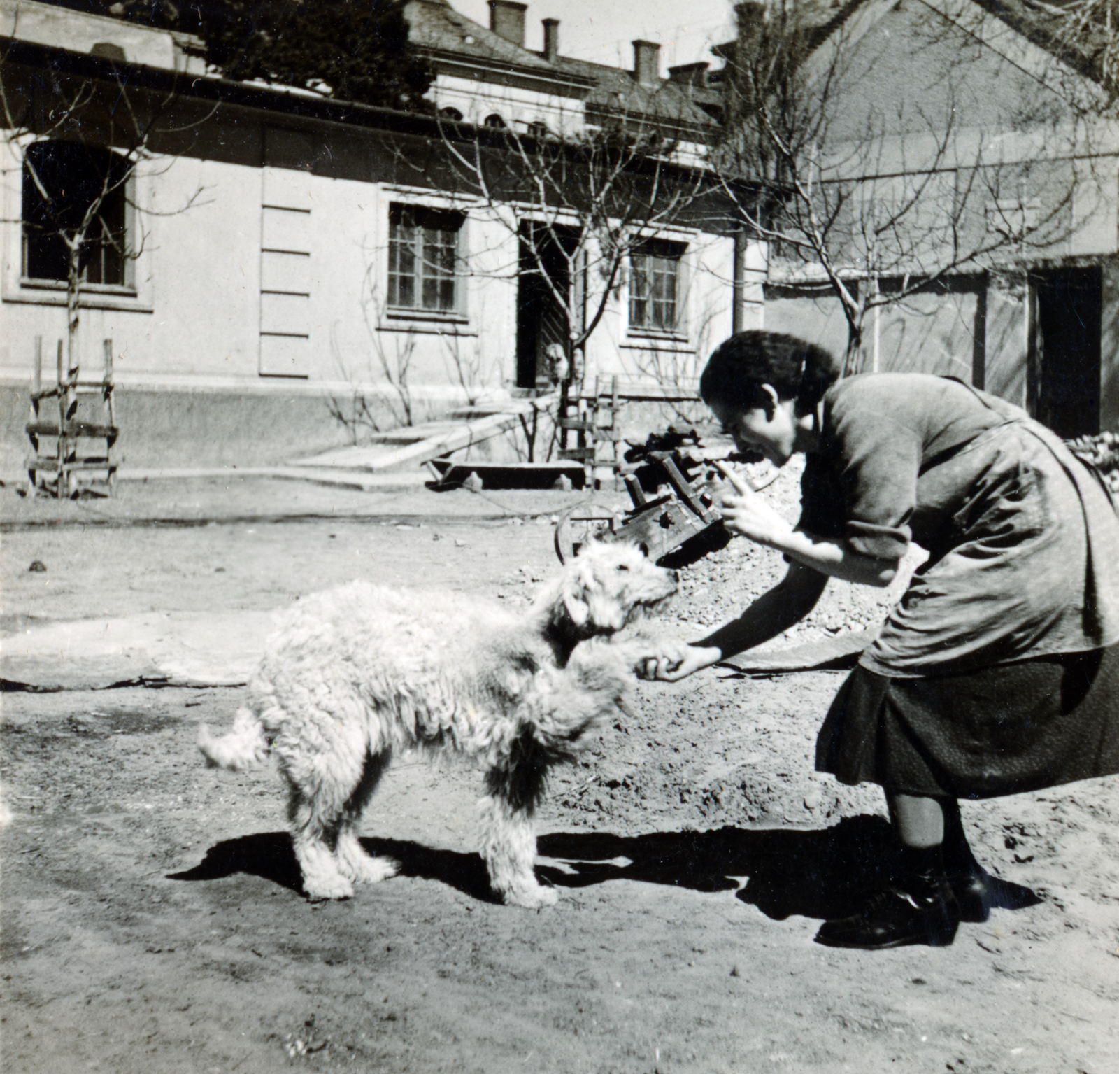 Magyarország, Debrecen, Varga utca 2., a felvétel a Piarista rendház (később Szent József Kollégium) udvarán készült., 1937, Fóris Gábor / Vastagh Miklós hagyatéka, mutatvány, kutya, Fortepan #226504
