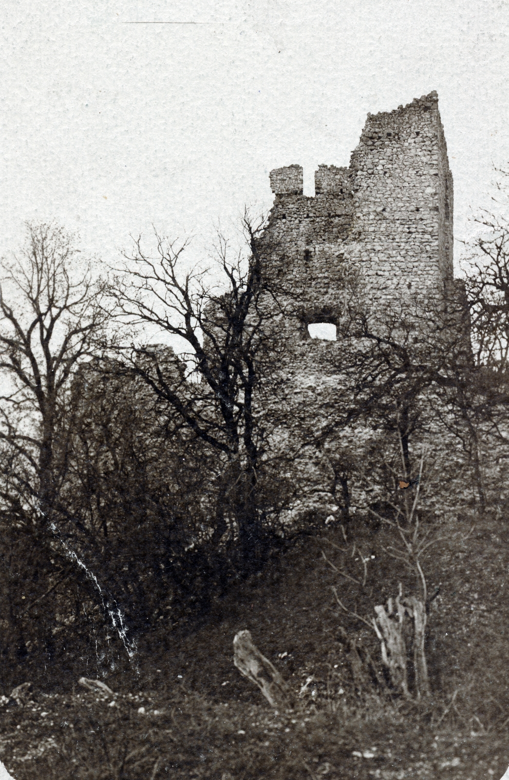 Hungary, Vértessomló, Vitányvár., 1913, Kornis Panni, castle ruins, Fortepan #226541